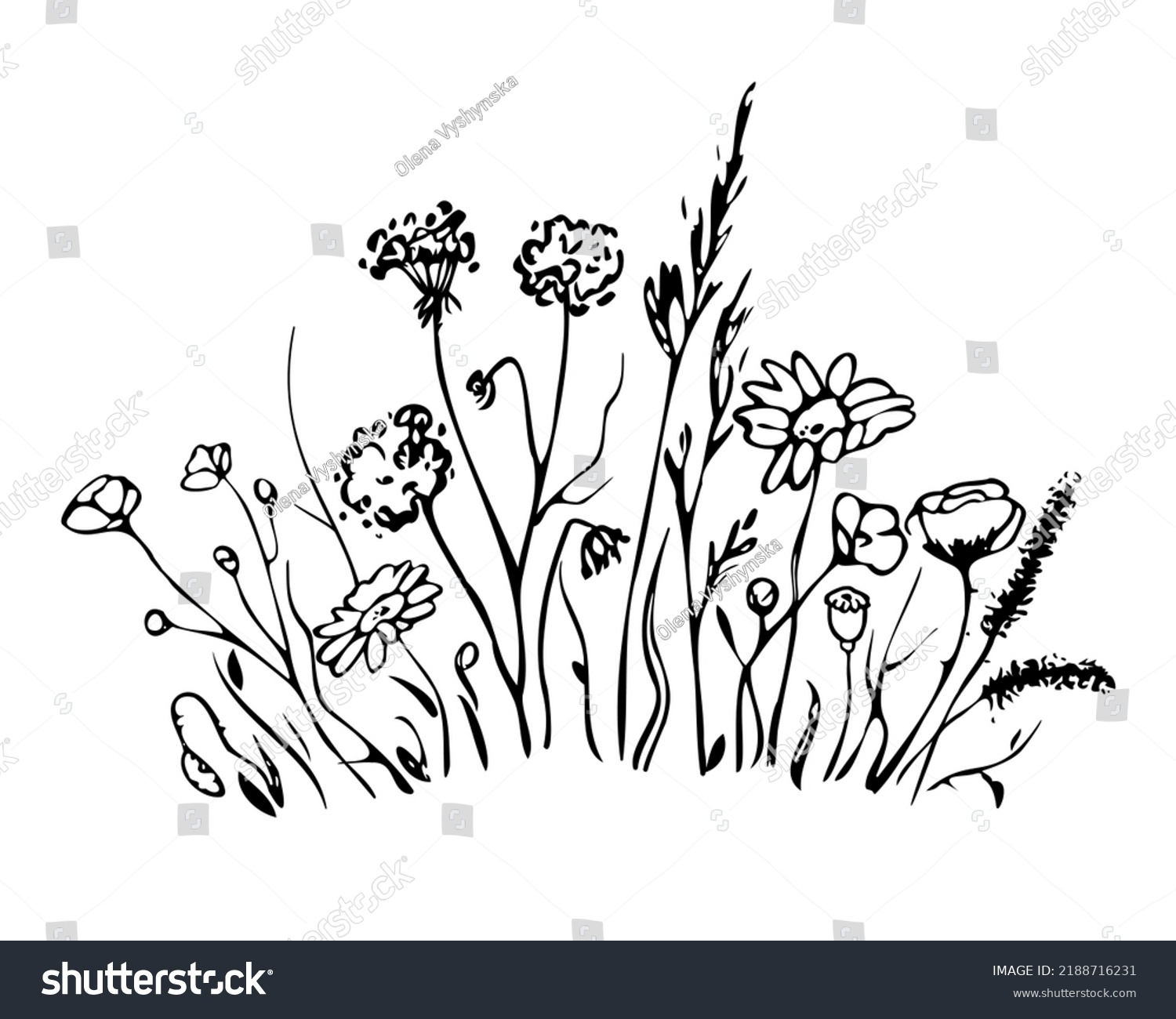 Black Silhouettes Grass Herbs Isolated On Stock Vector Royalty Free 2188716231 Shutterstock 