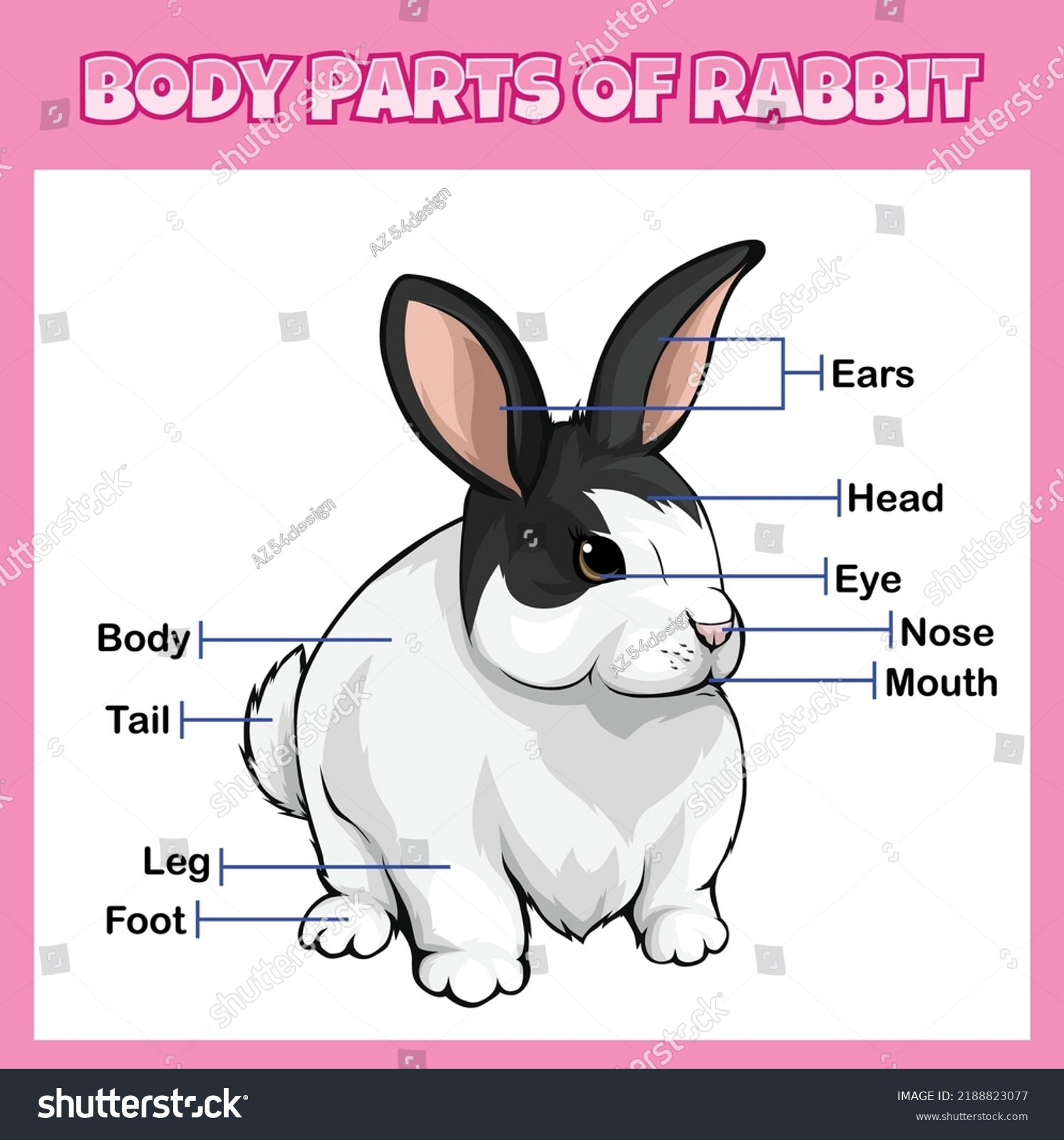 Body Parts Rabbit Illustration Vector File Stock Vector (Royalty Free ...