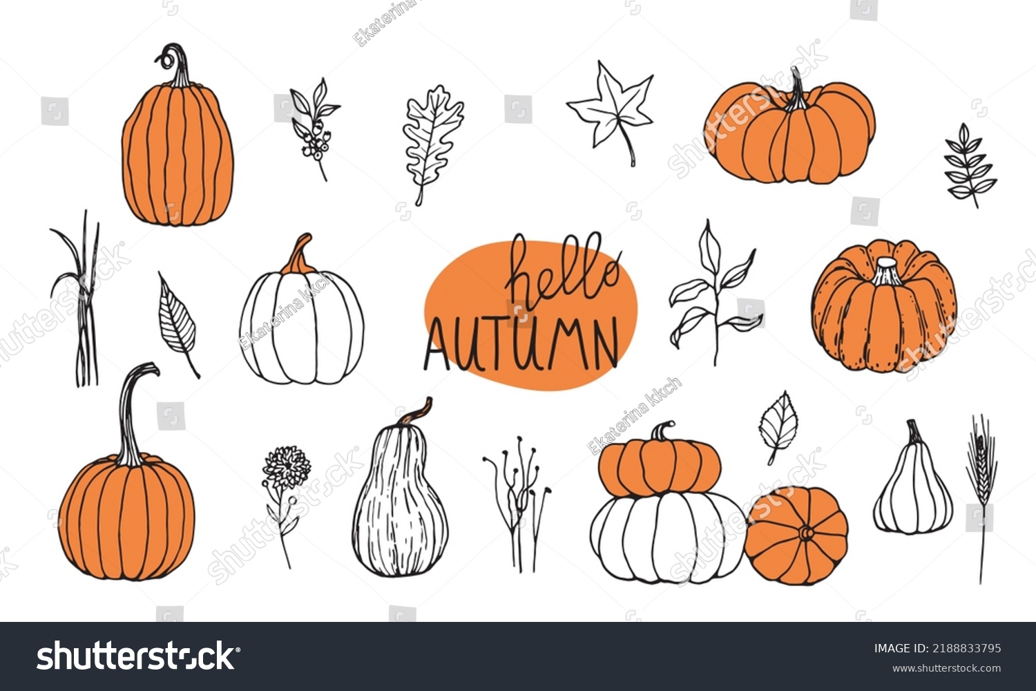 hand-drawn-black-white-set-pumpkins-stock-vector-royalty-free