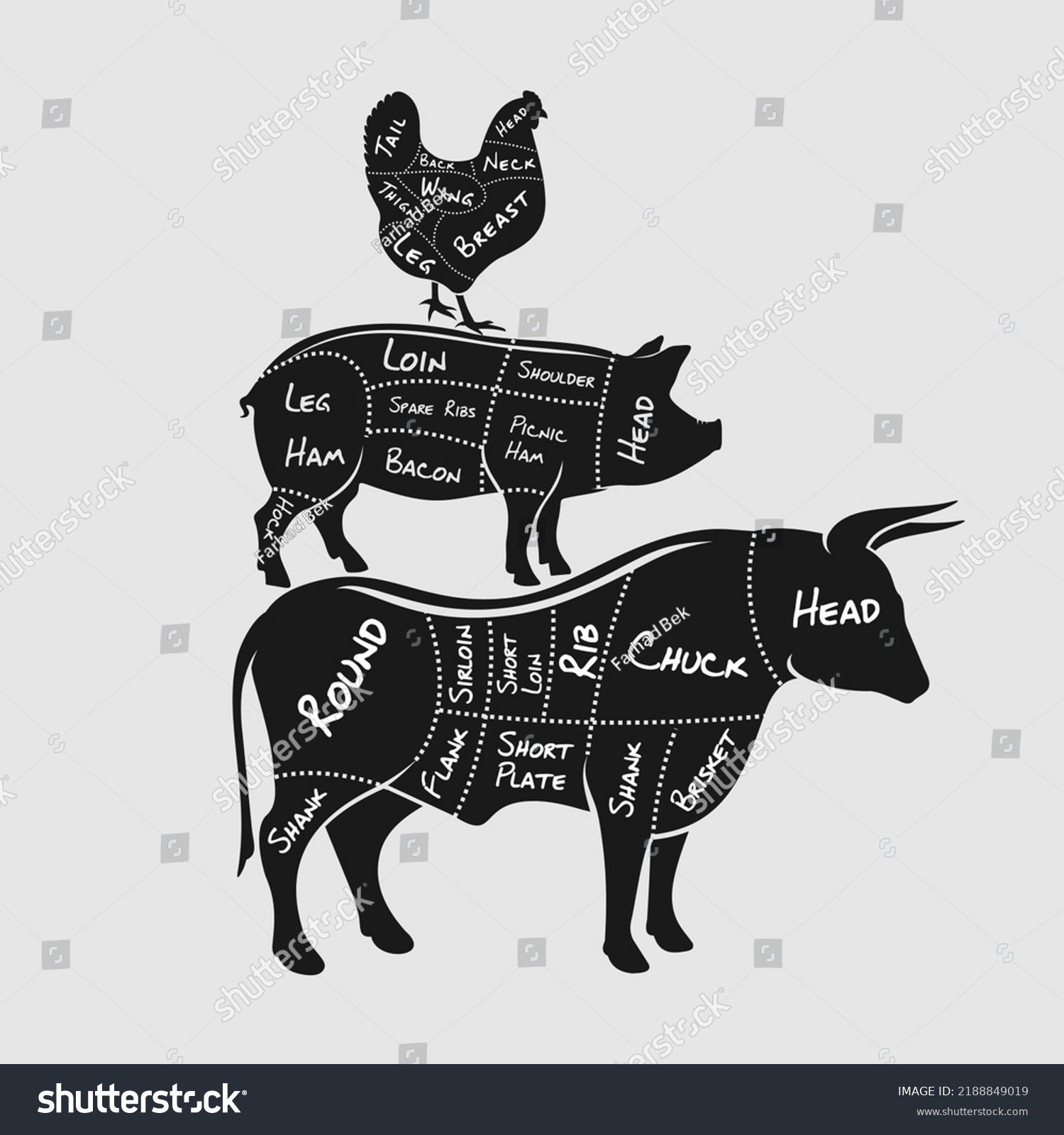 Cuts Pork Beef Chicken Butchery Diagram Stock Vector (Royalty Free ...