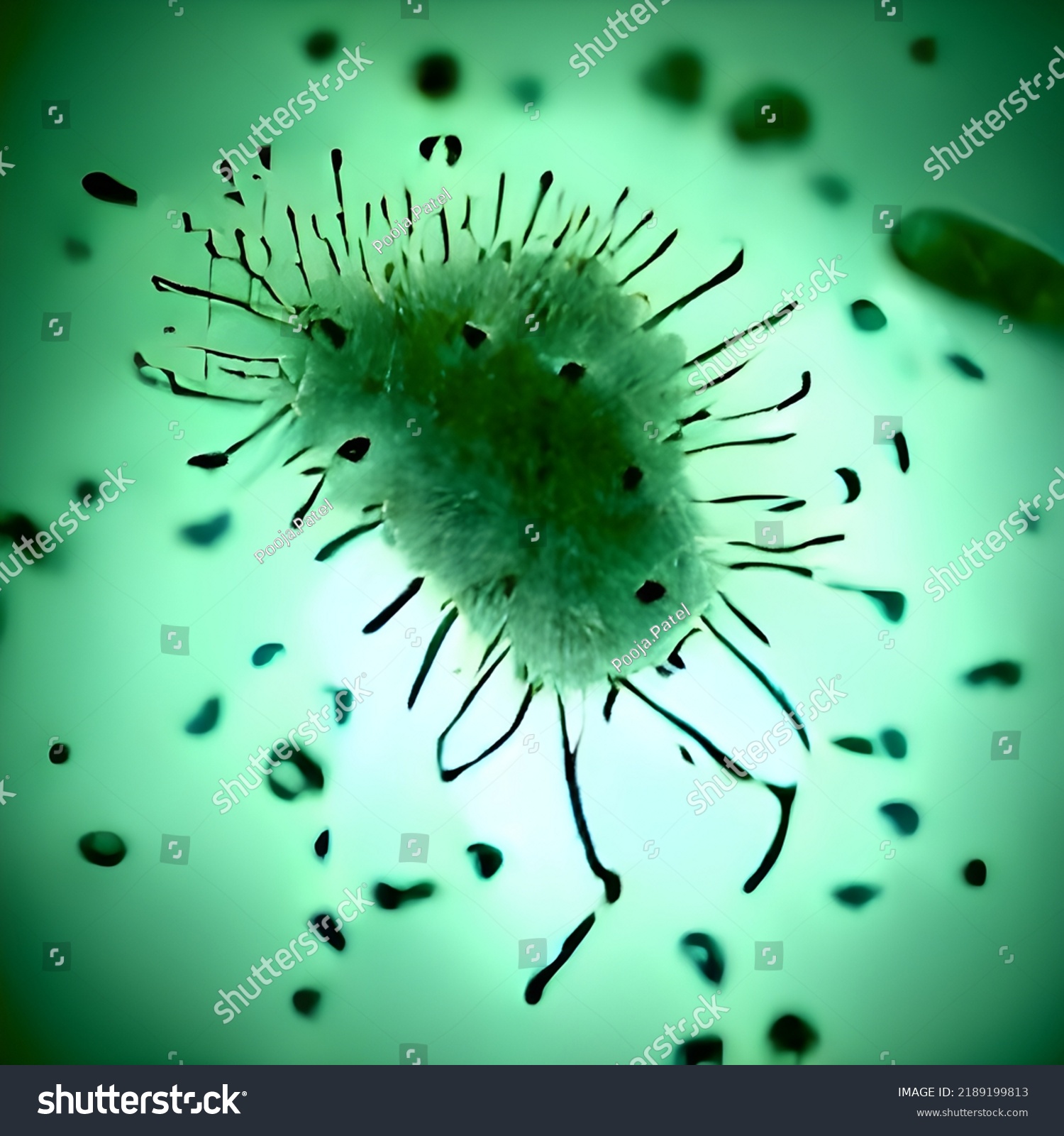 Escherichia Coli E Coli Cells Bacteria Stock Illustration Shutterstock