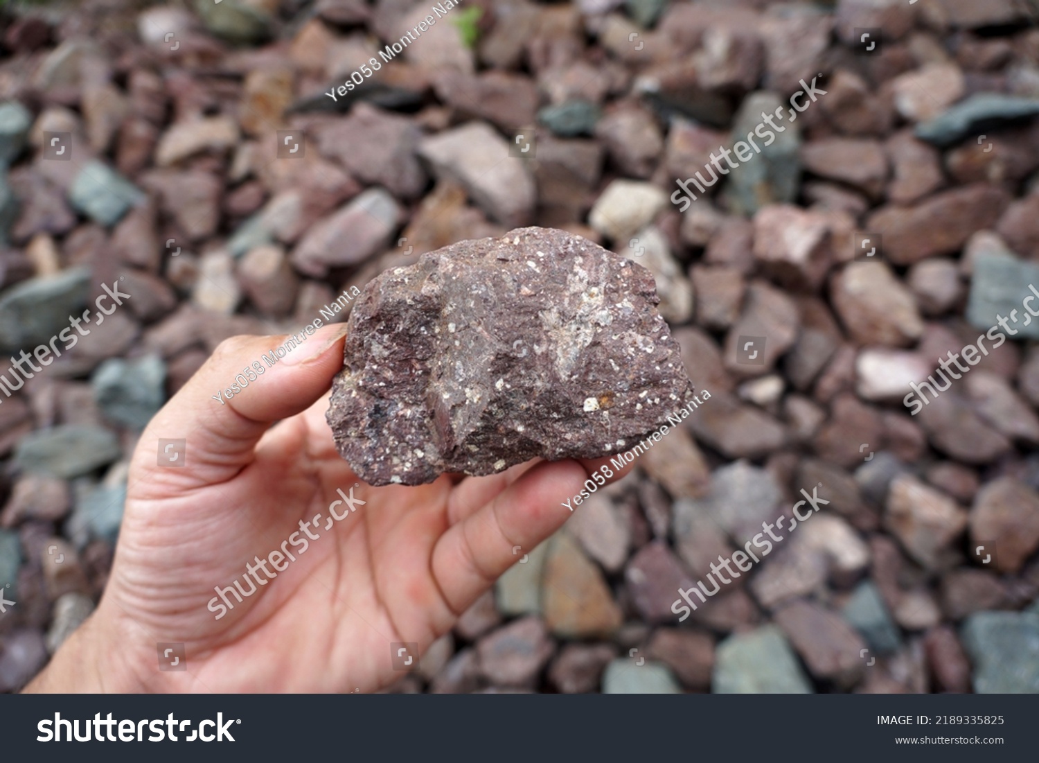 Sample Raw Specimen Purple Rhyolite Extrusive Stock Photo 2189335825 ...