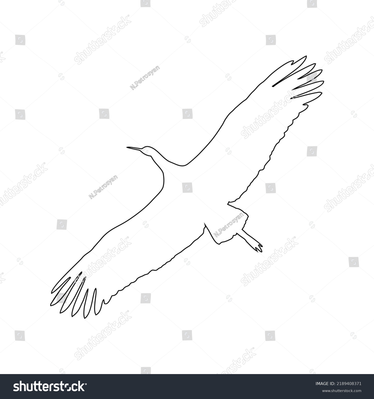 Stork Flight Linear Silhouette Hand Drawn Stock Vector (Royalty Free ...