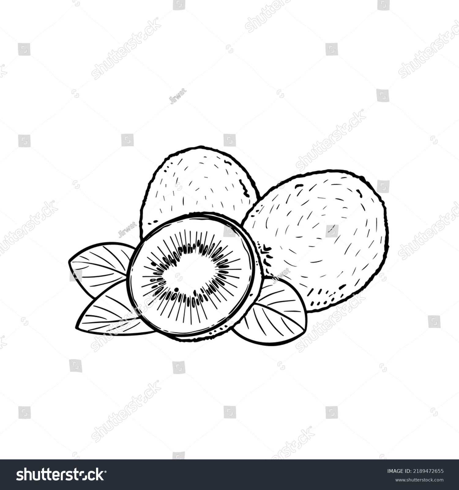 Kiwi Hand Drawing Illustration Black Color Stock Vector (Royalty Free ...