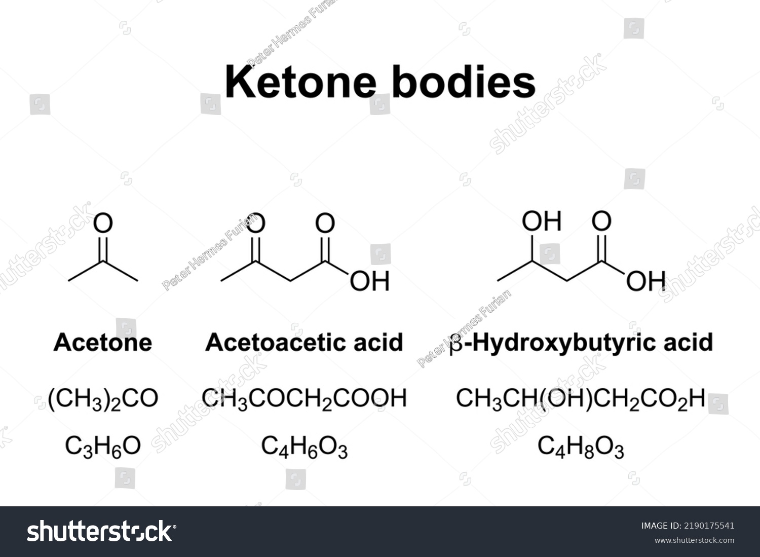 Ketone Bodies Chemical Formulas Watersoluble Molecules Stock Vector Royalty Free 2190175541