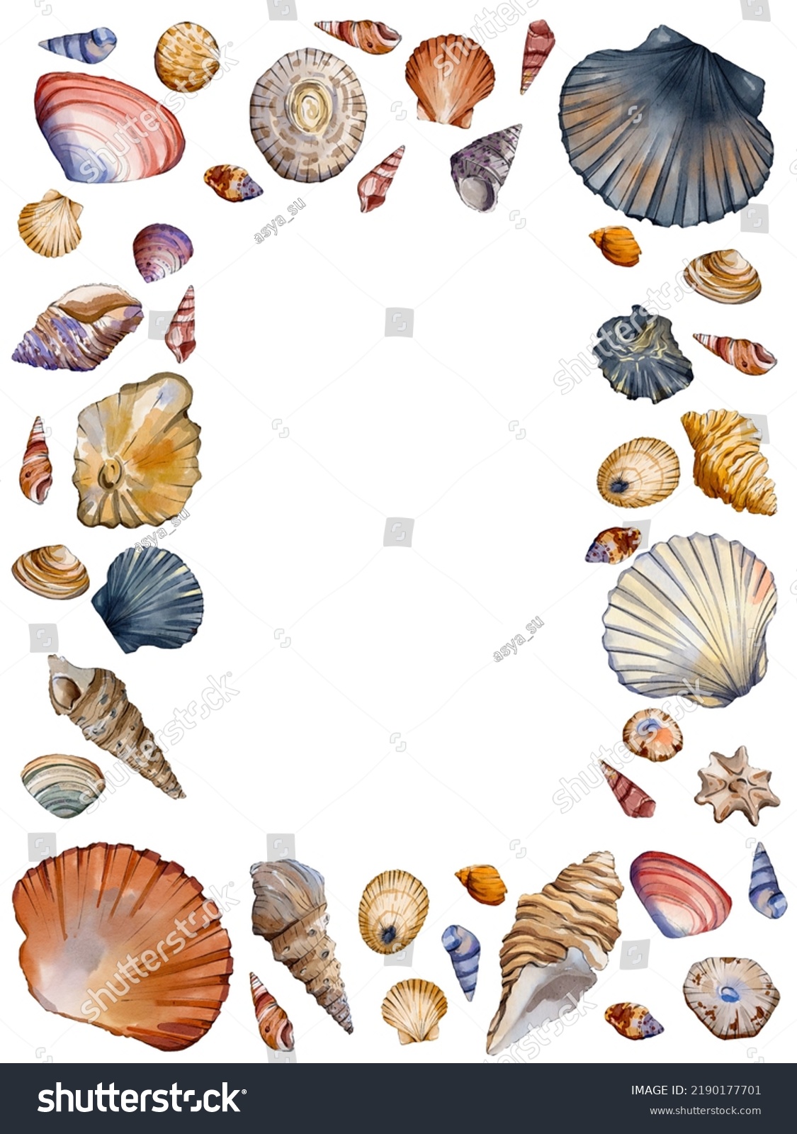 Seashell Watercolor Sea Frames Illustration Isolated Stock Illustration ...