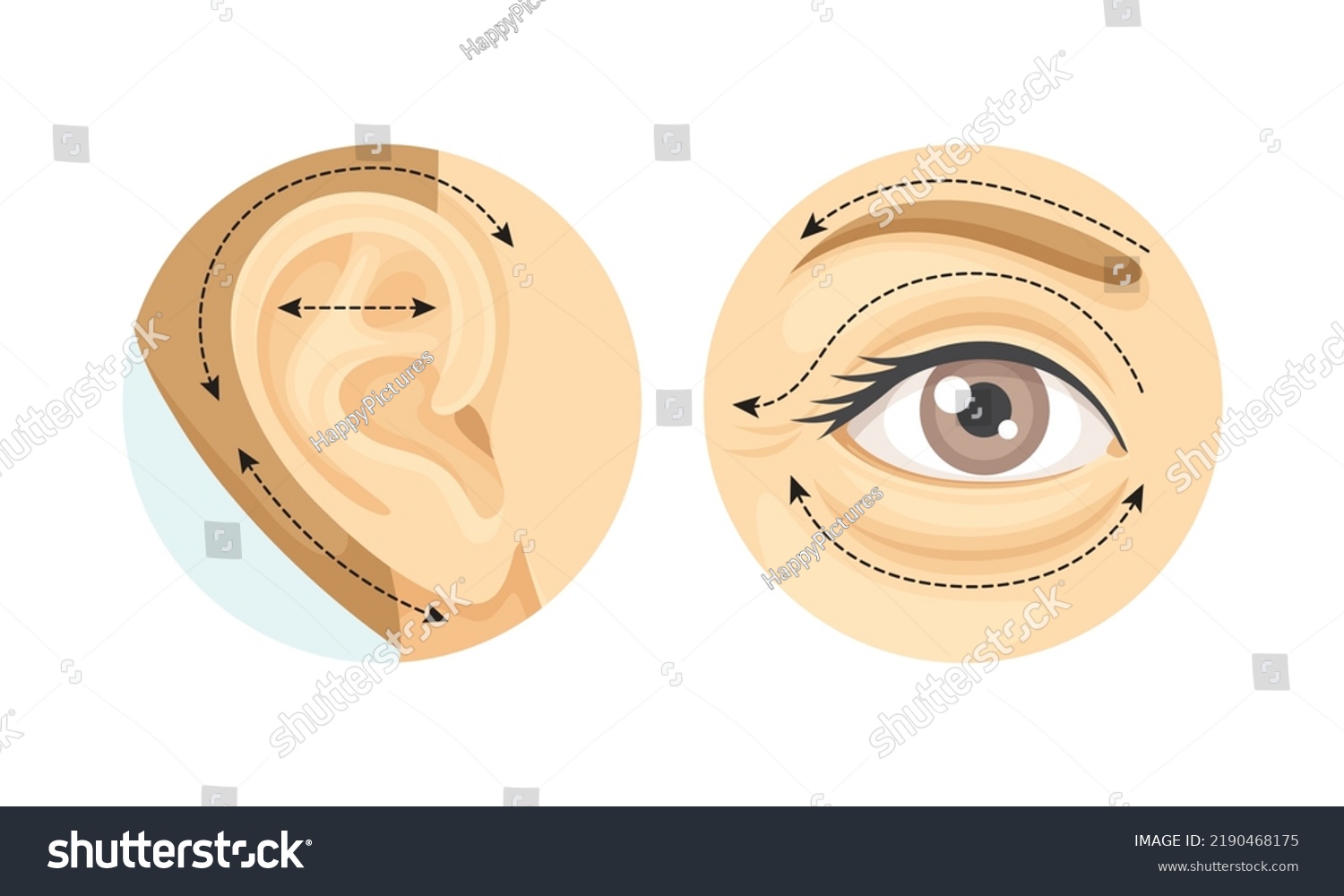 Plastic Surgery Restoration Reconstruction Human Ear Stock Vector ...