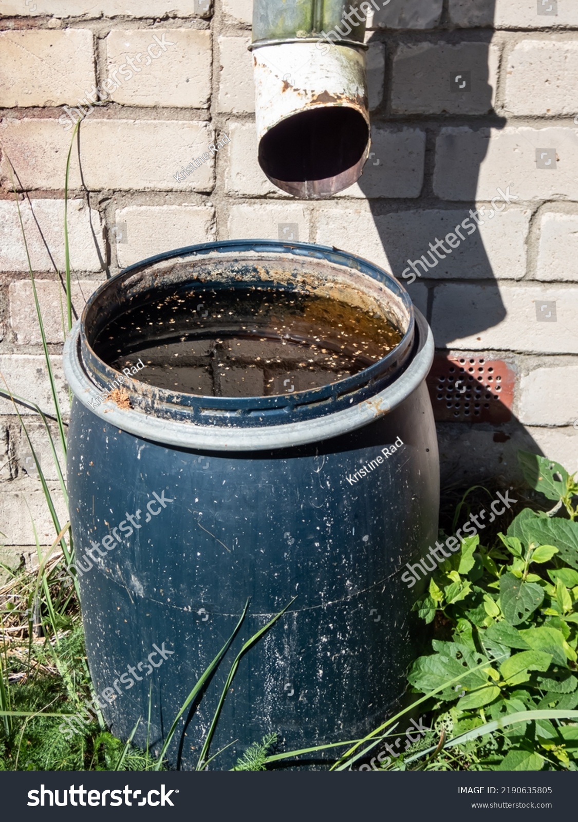 Big Blue Plastic Water Barrel Reused Stock Photo 2190635805 | Shutterstock