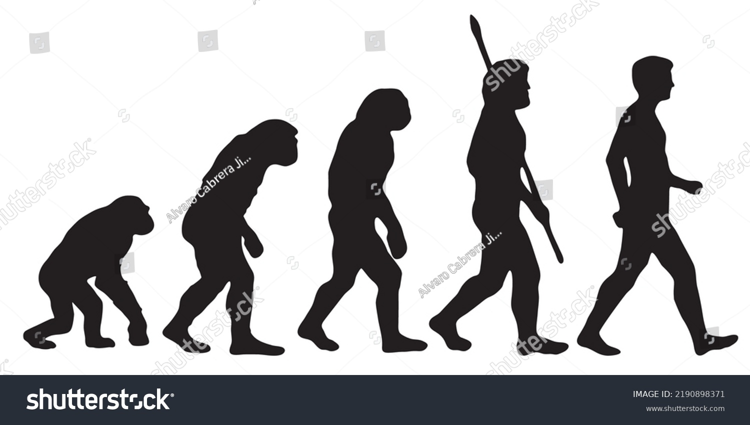 Darwins Evolution Human Silhouettes Different Steps Stock Vector ...