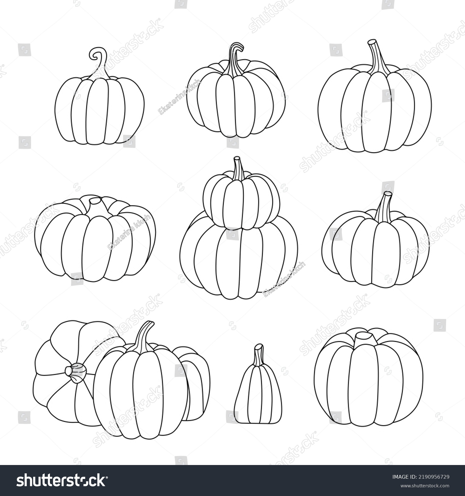 Outline Different Pumpkins Black White Vector Stock Vector (Royalty ...