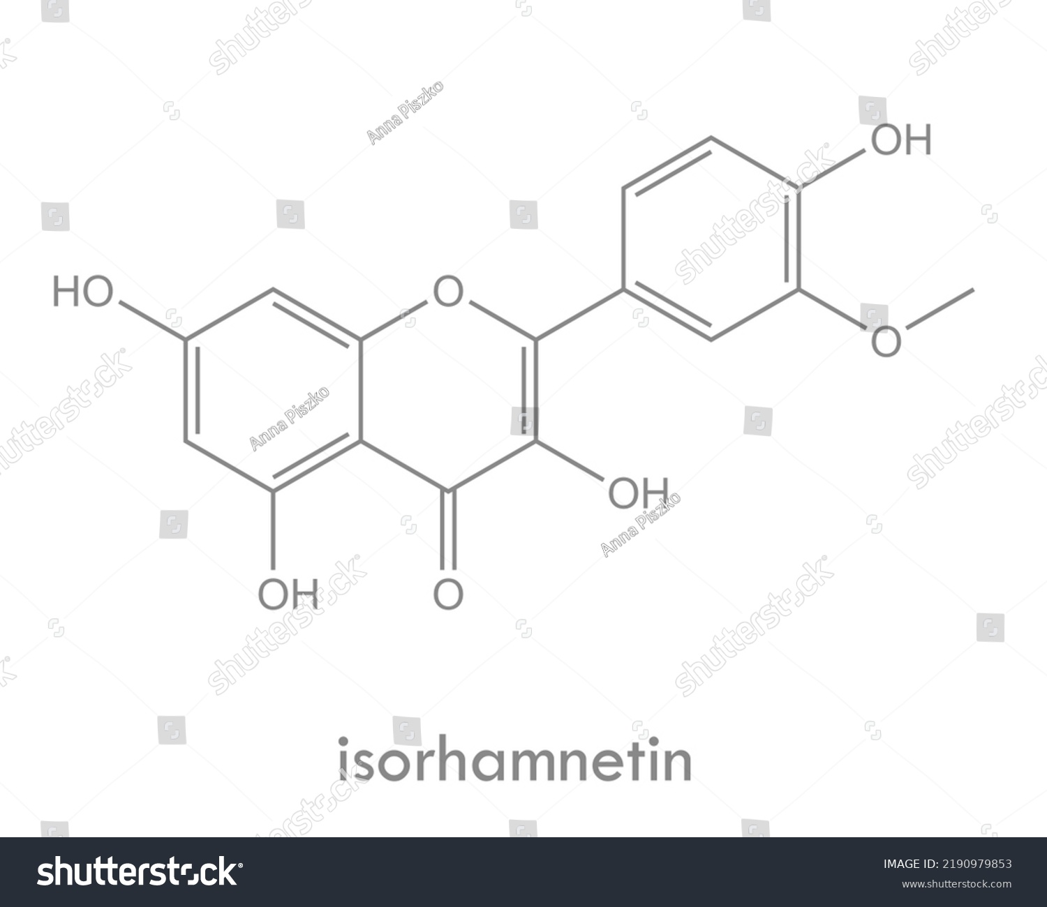 Isorhamnetin Structure Molecule Flavonol Flavonoid Found Stock Vector 