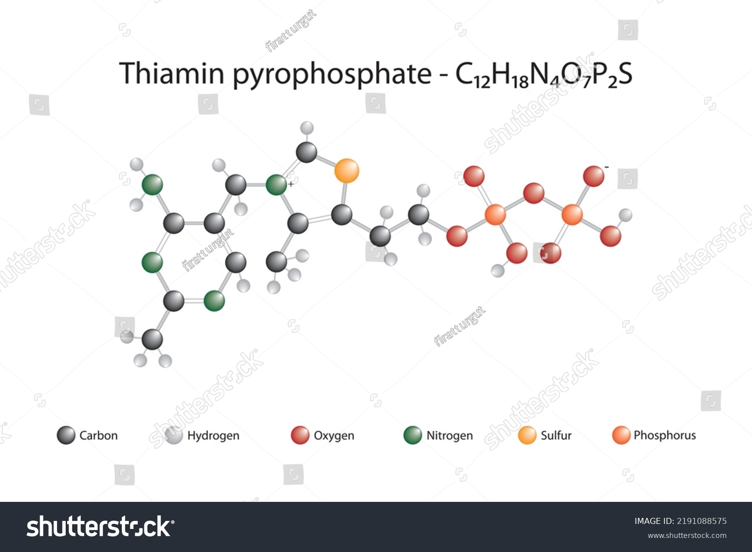 Molecular Formula Chemical Structure Thiamin Pyrophosphate Stock Vector ...