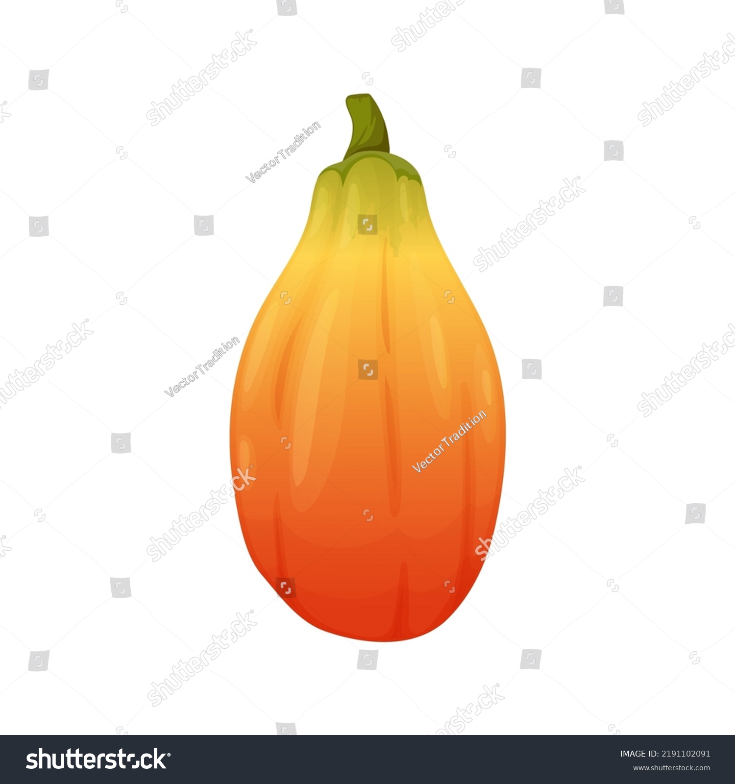 Pawpaw Tropical Fruit Isolated Papaya Exotic Stock Vector Royalty Free 2191102091 Shutterstock 7807