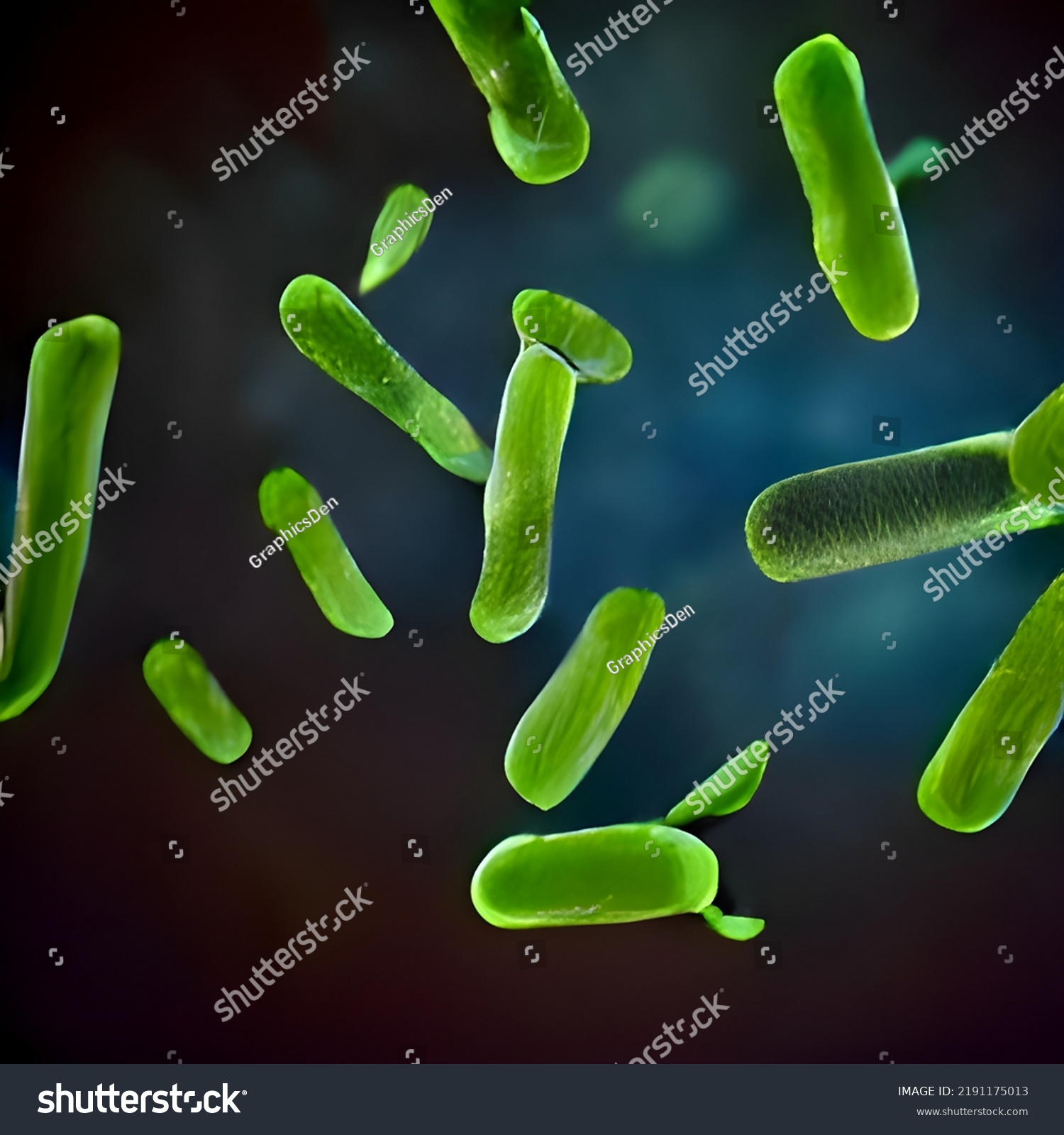 Bacteria Part Intestinal Microbiome Digestive Tract Stock Illustration ...