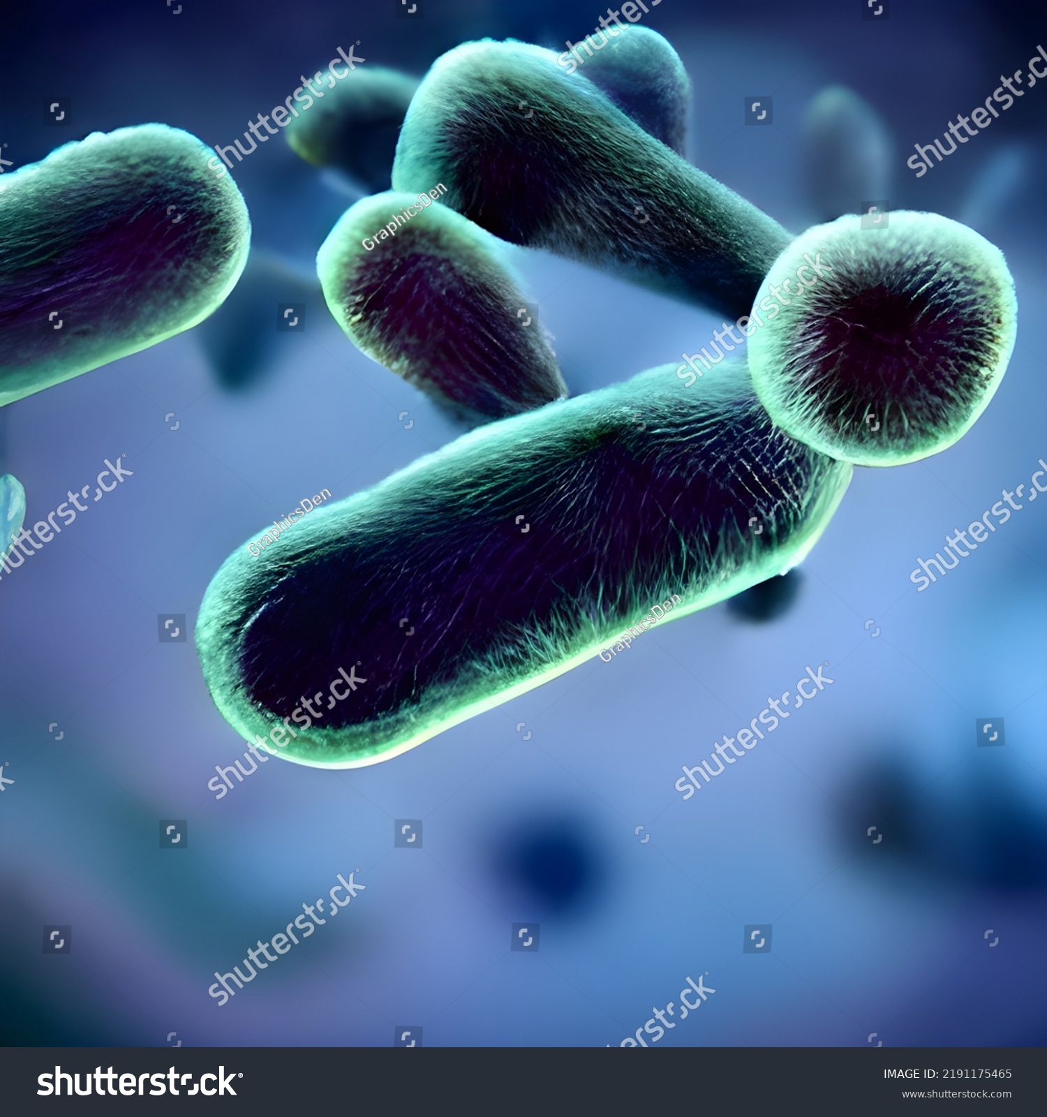 Escherichia Coli Bacterium Ecoli Gramnegative Rodshaped Stock ...