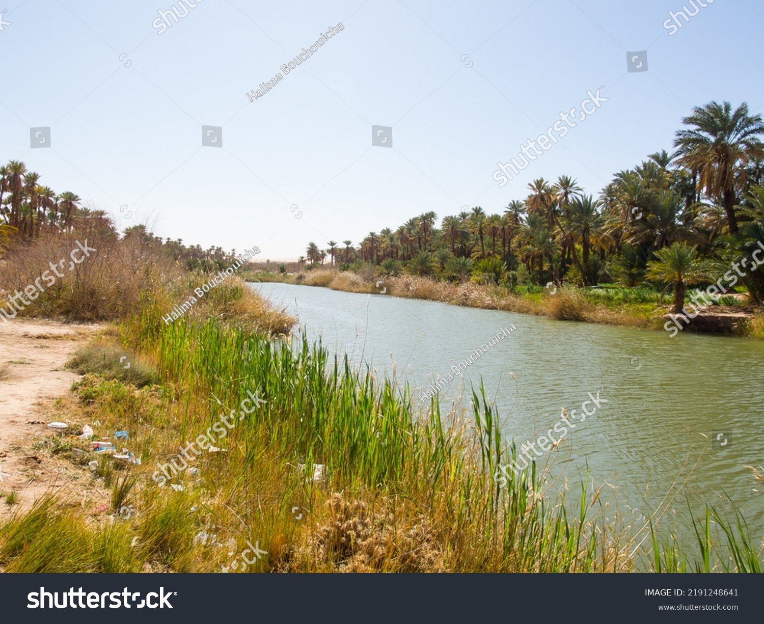 Algerian Sahara Desert Oasis Thaghit Bechar Stock Photo 2191248641 ...