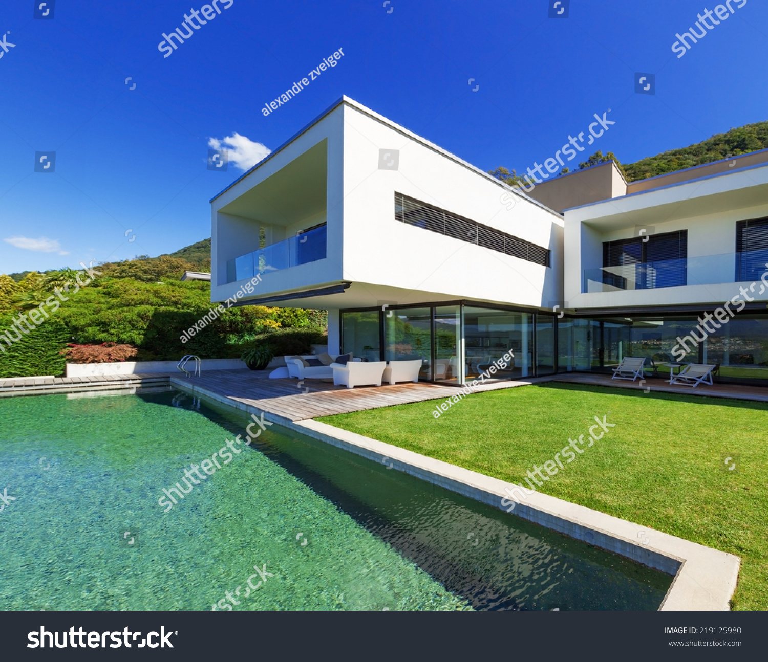 Luxury Villa Infinity Pool Stock Photo 219125980 | Shutterstock