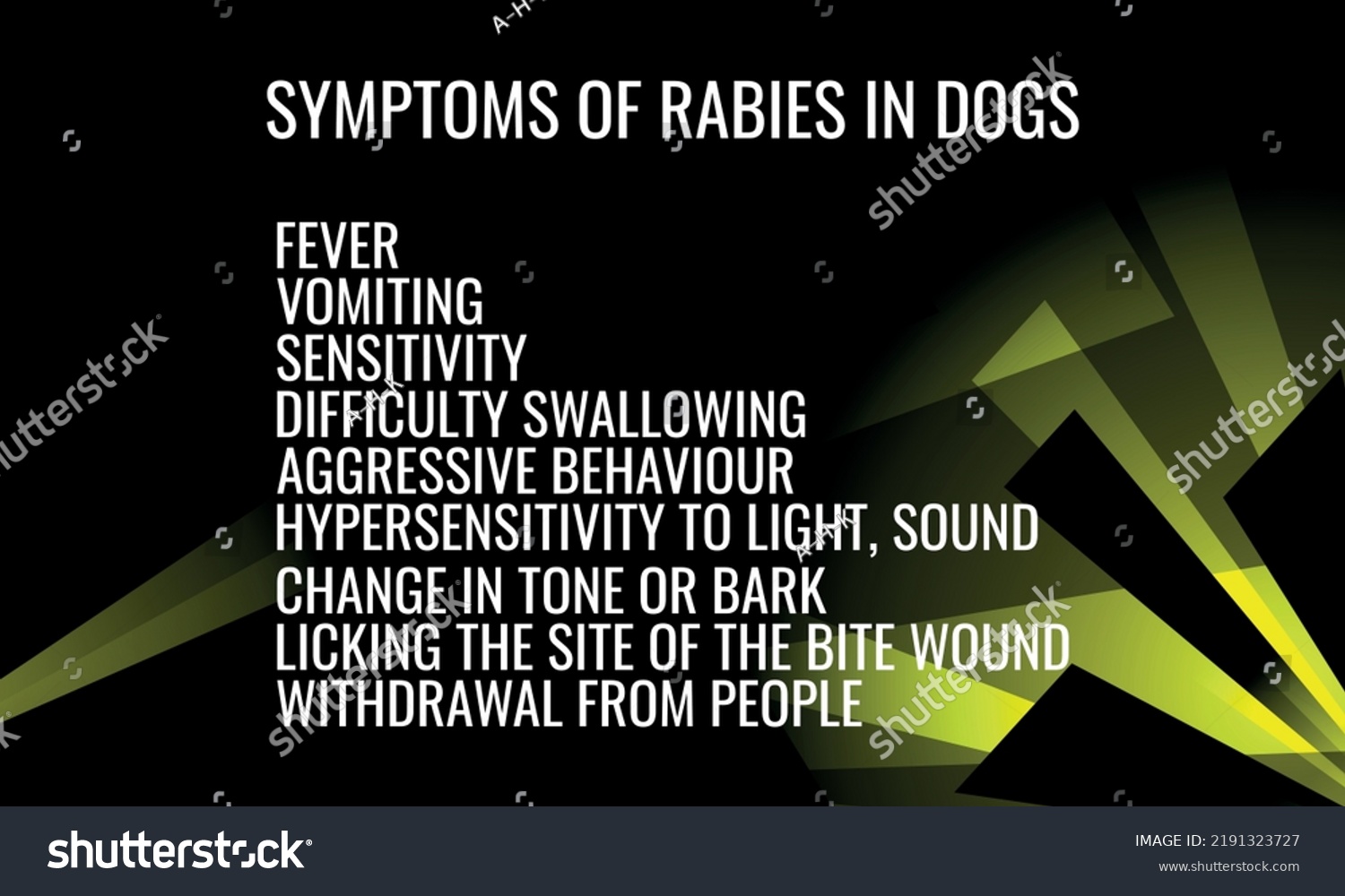 Symptoms Rabies Dogs Vector Illustration Medical Stock Vector (Royalty ...