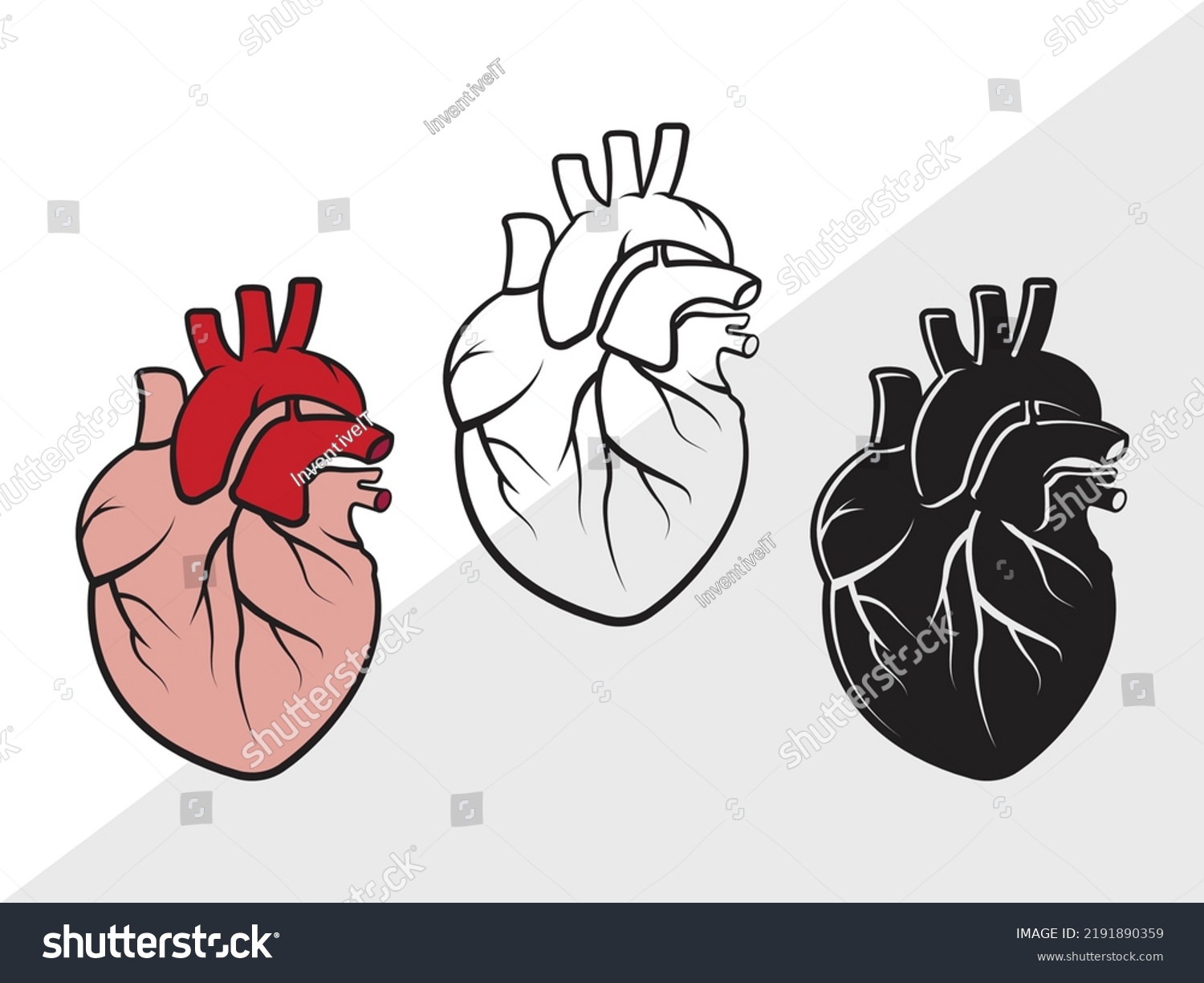 Human Heart Clipart Svg Printable Vector Stock Vector (Royalty Free ...