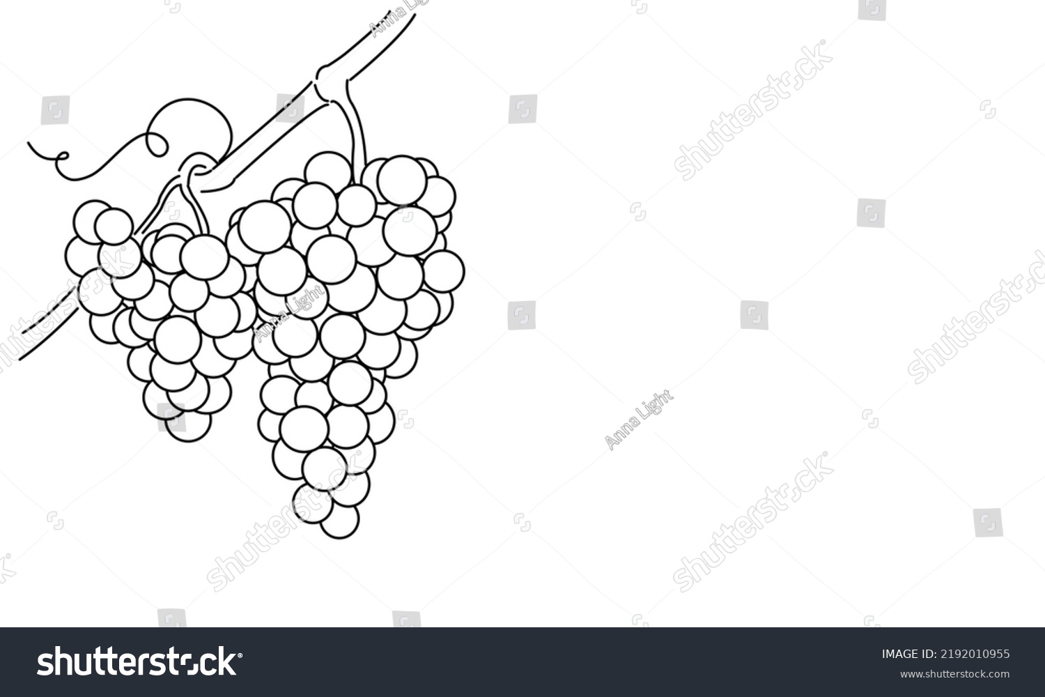 Bunches Grapes Vine Vector Line Drawing Stock Vector (Royalty Free ...