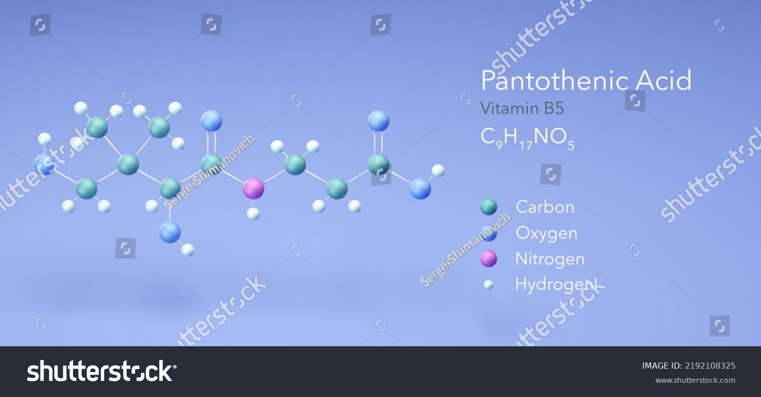 Pantothenic Acid Vitamin B5 Molecular Structures Stock Illustration ...