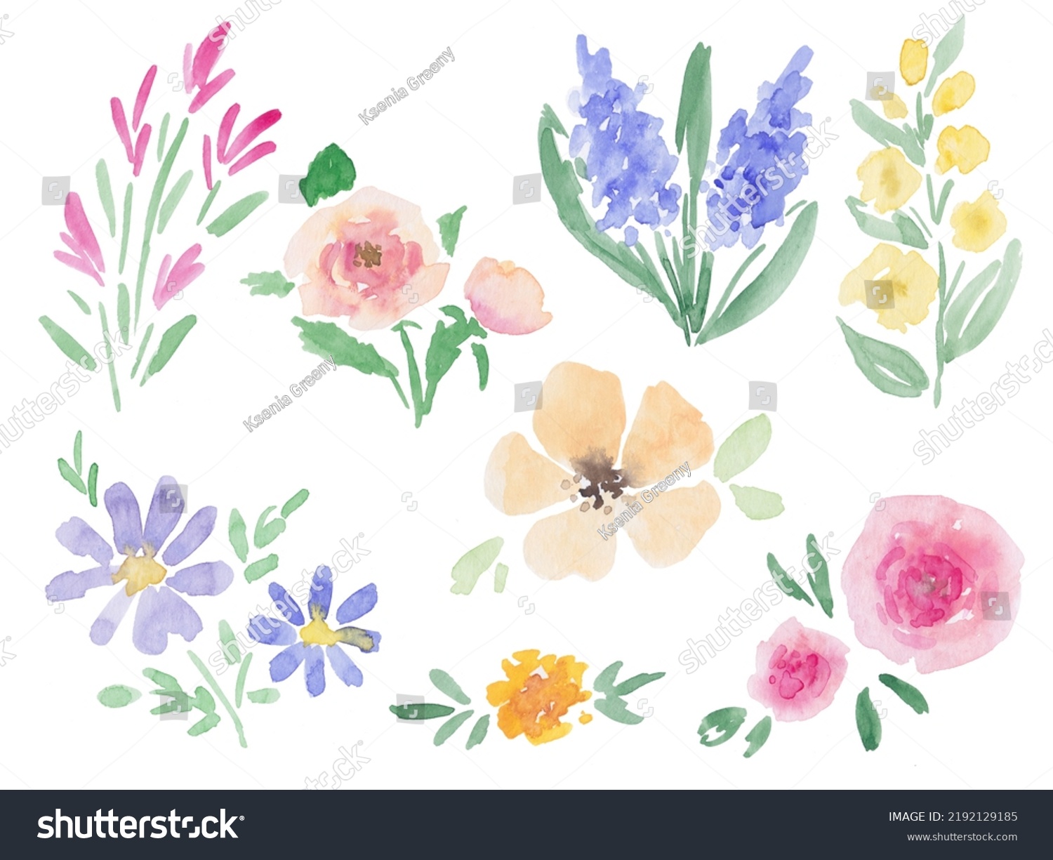 Set Watercolor Plants Drawing Stock Illustration 2192129185 | Shutterstock