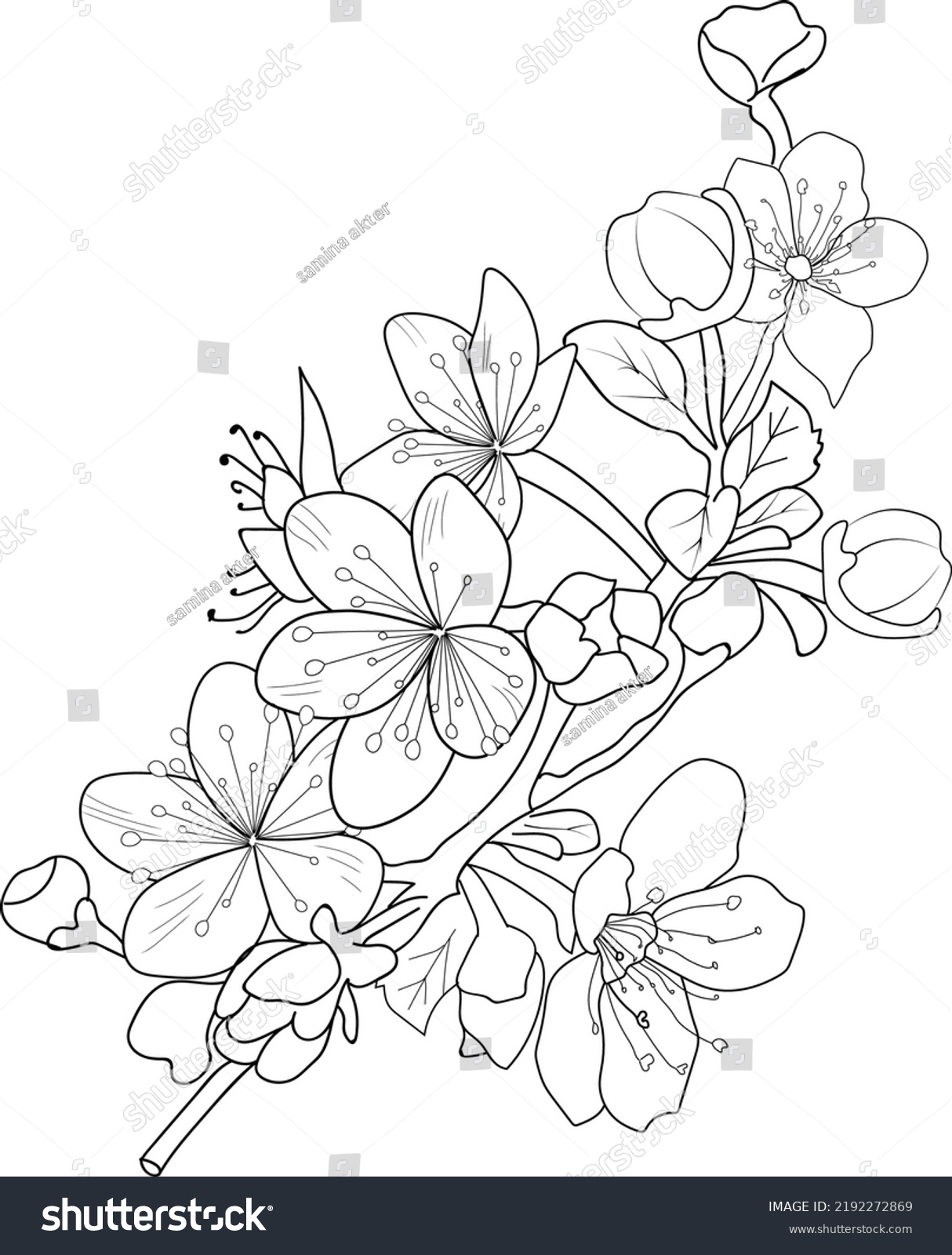 Cherry Blossom Flowers Branch Vector Illustration Stock Vector (Royalty ...