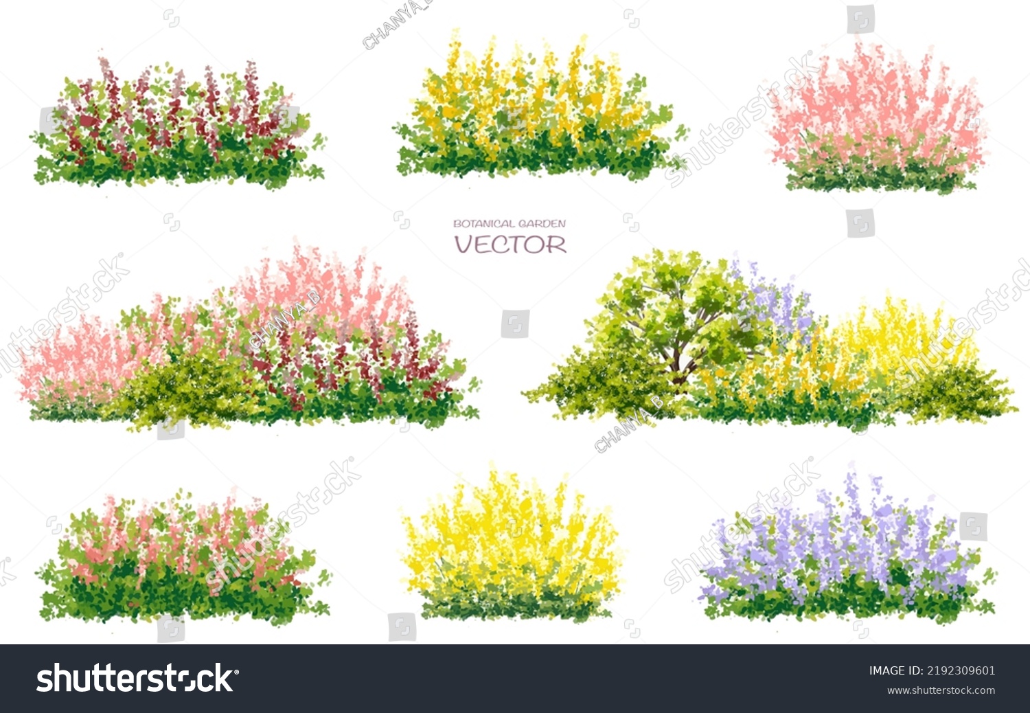 Vector Watercolor Blooming Flower Tree Side Stock Vector (Royalty Free ...