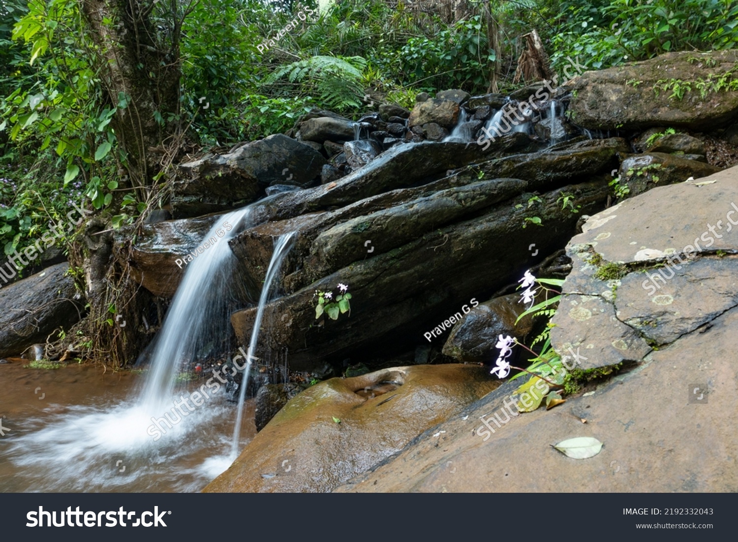 Western Ghats India During Monsoon Rainy Stock Photo 2192332043 ...