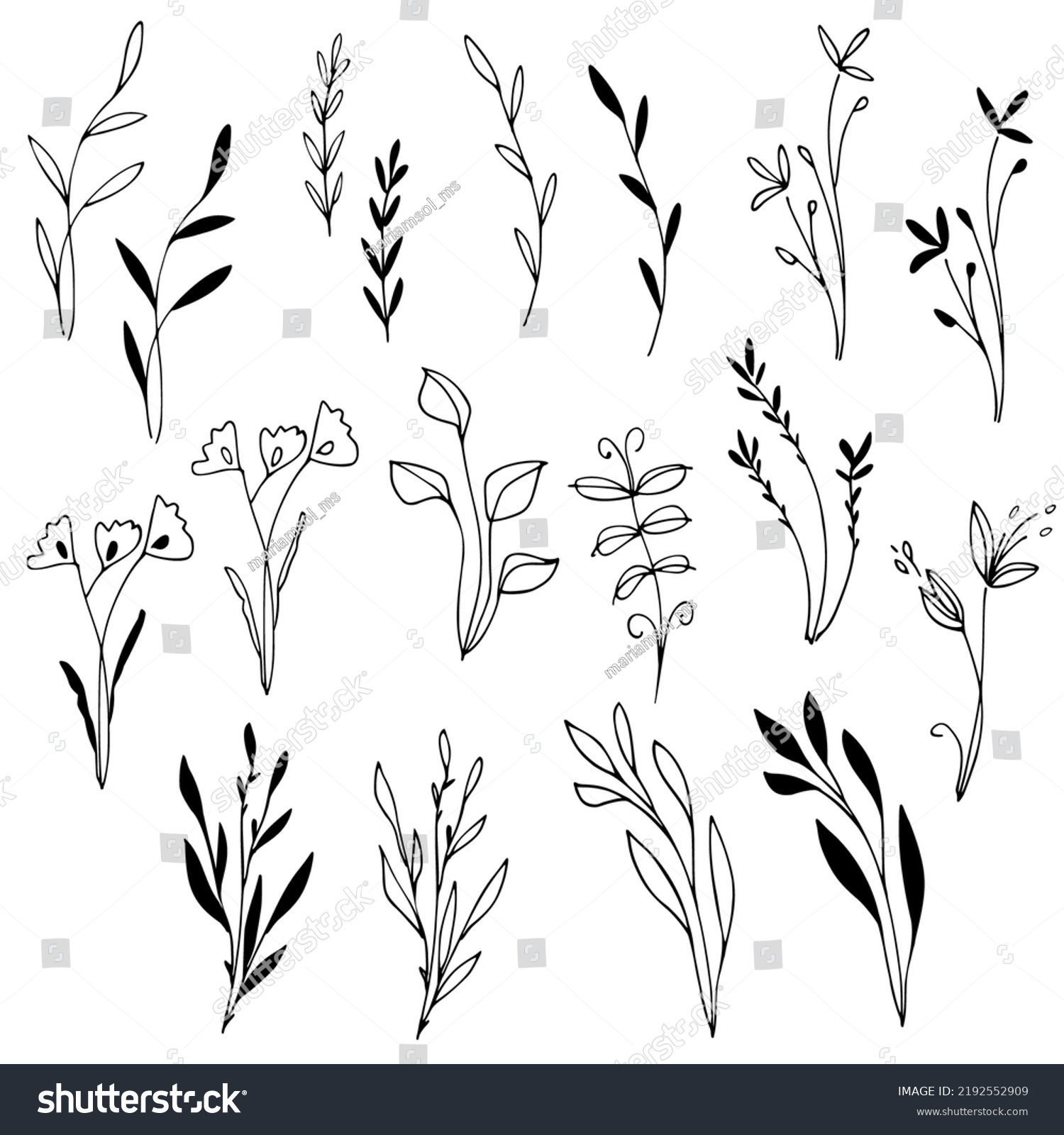 Delicate Floral Clipart Hand Drawn Plants Stock Vector (Royalty Free ...