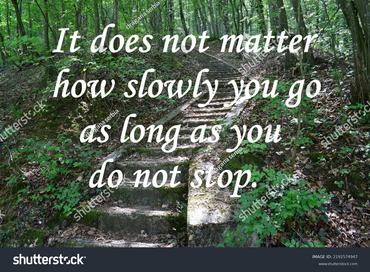 Motivational Quote On Nature Background Does Stock Photo 2192574947 ...