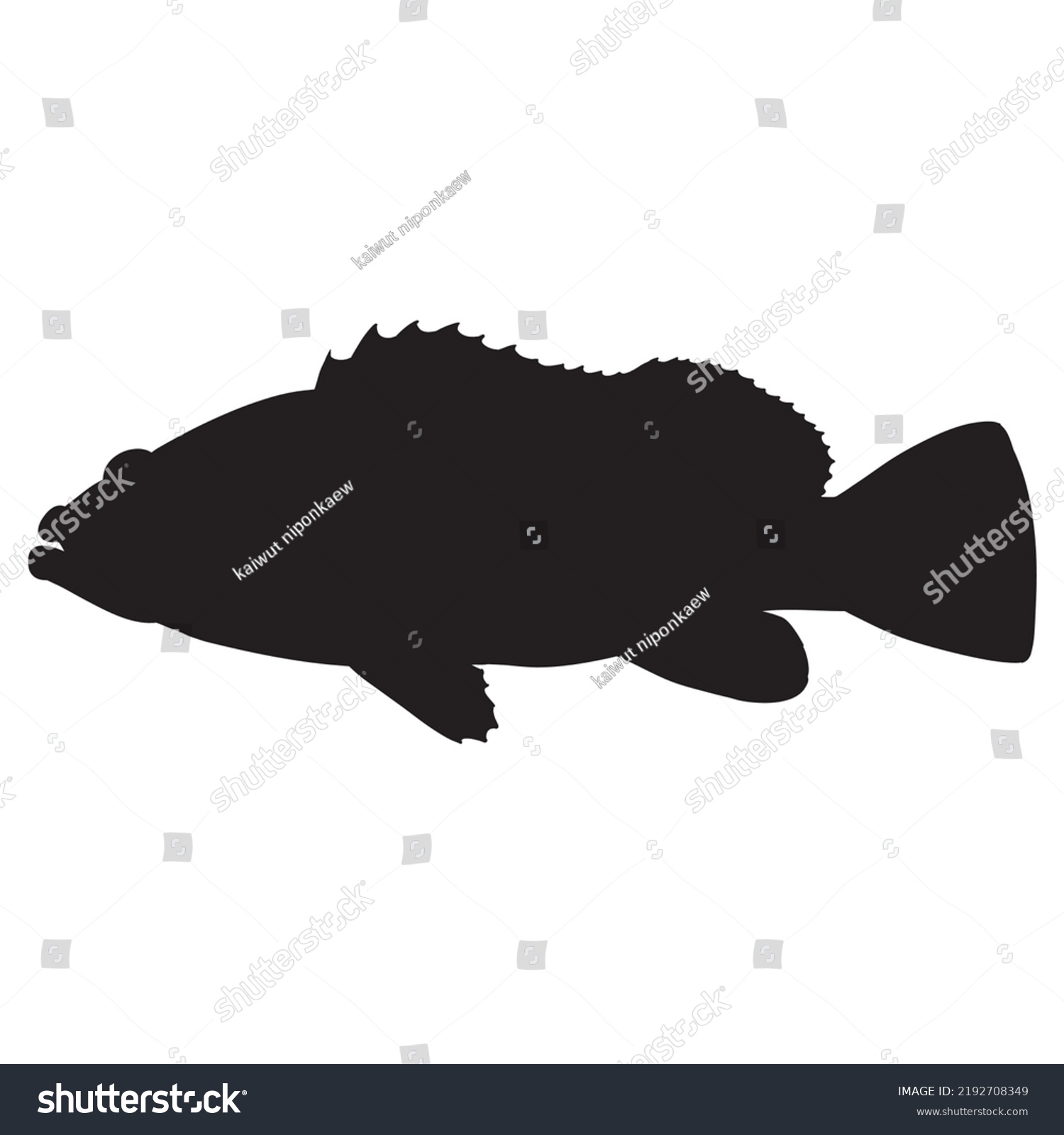 Grouper Silhouette Isolated On White Background Stock Vector (Royalty ...