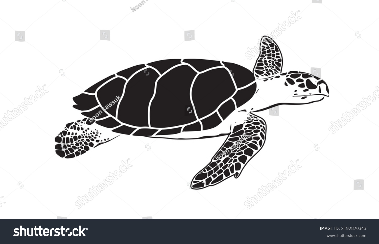 Sea Turtle Isolated Turtle On White Stock Vector (Royalty Free ...