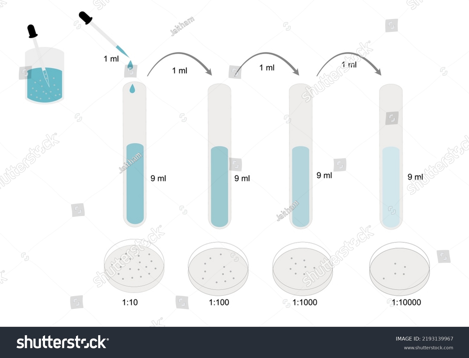 Tenfold Serial Dilution Pathogen Suspension Solution Stock Vector