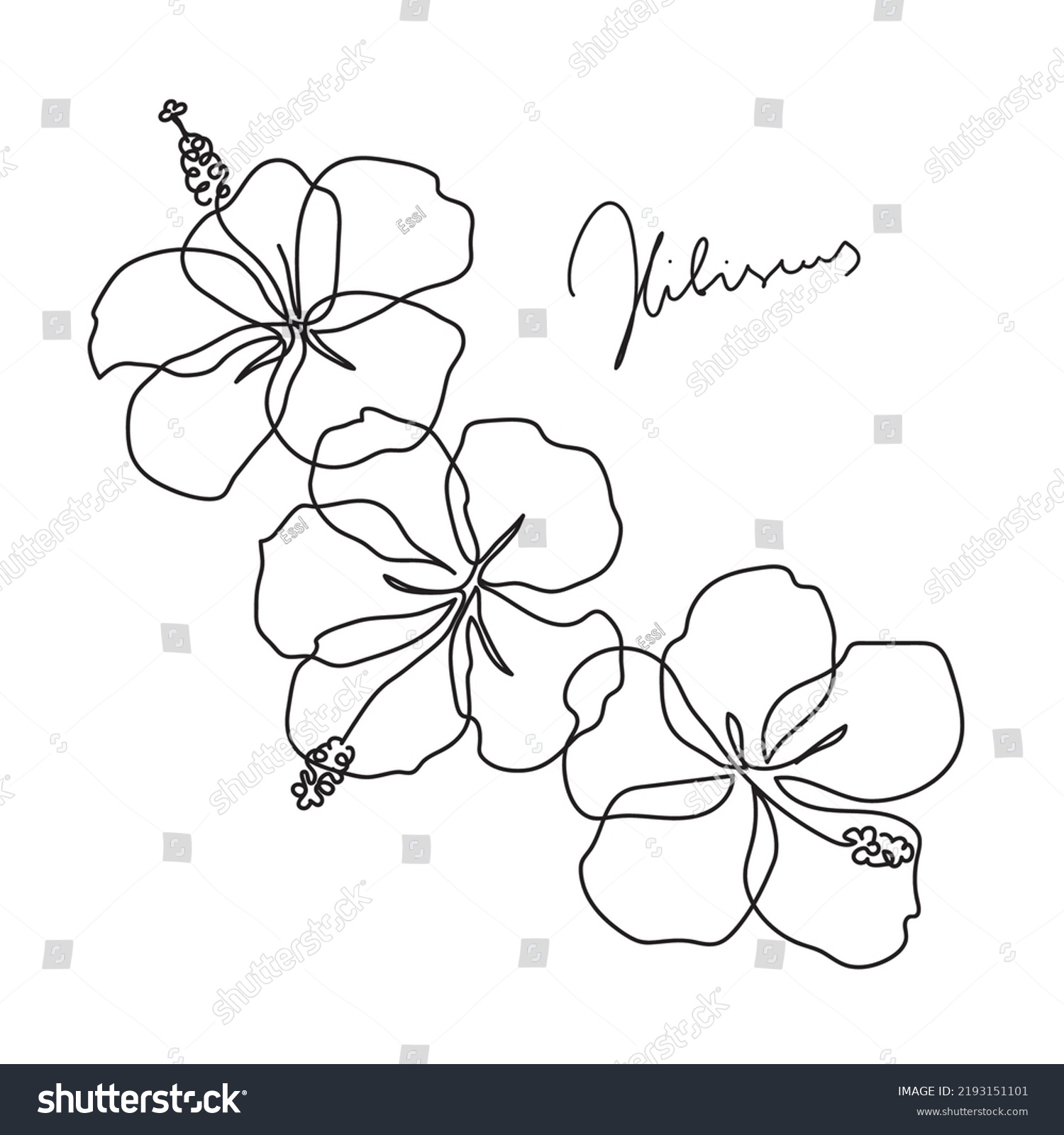 Beautiful Hibiscus Flower Line Art Concept Stock Vector Royalty Free 2193151101 Shutterstock 9468