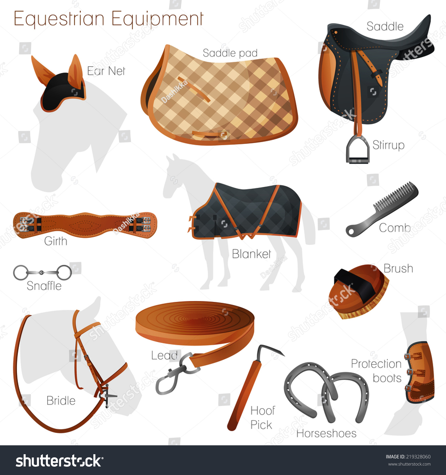 ensemble-d-quipements-questres-pour-chevaux-selle-image