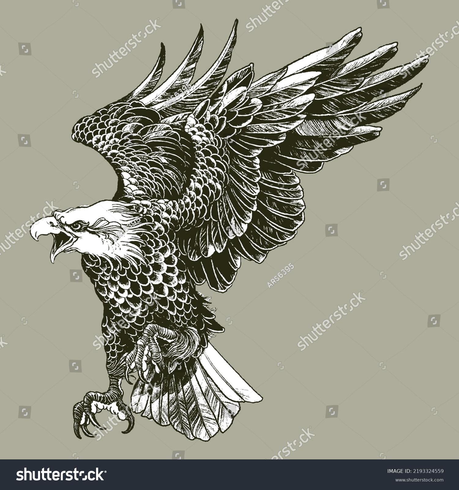 Hand Drawn Portrait Eagle Drawing Line Stock Vector (Royalty Free ...