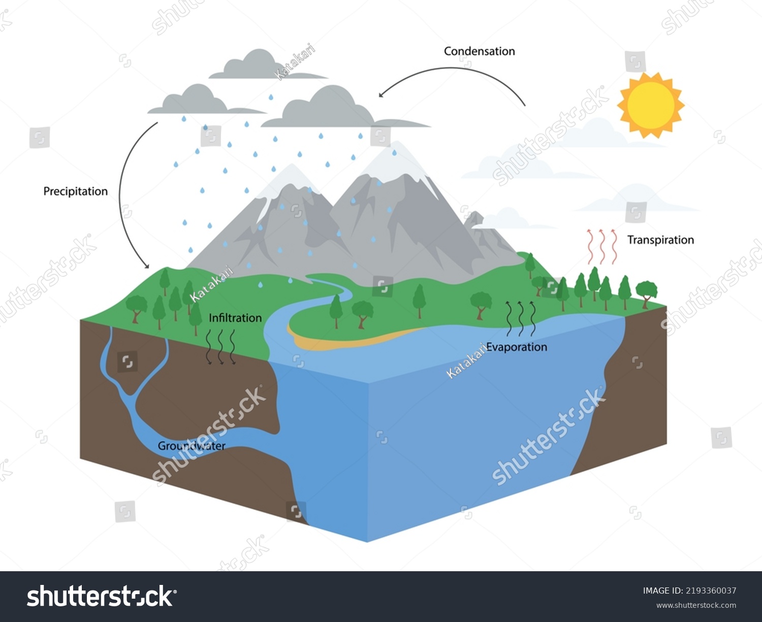 Diagram Water Cycle Nature Illustration Stock Vector (royalty Free 