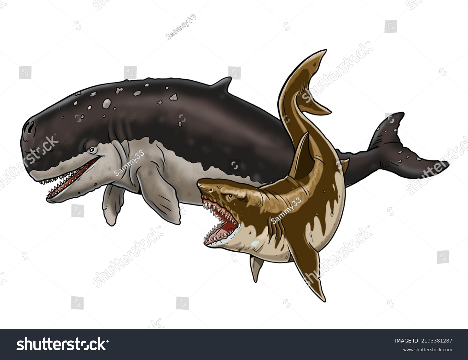 Shark Megalodon Attacks Prehistoric Whale Livyatan Stock Illustration ...