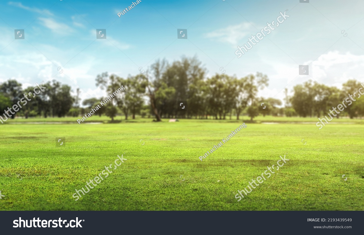 Empty Dry Cracked Swamp Reclamation Soil Stock Photo 2193439549 ...