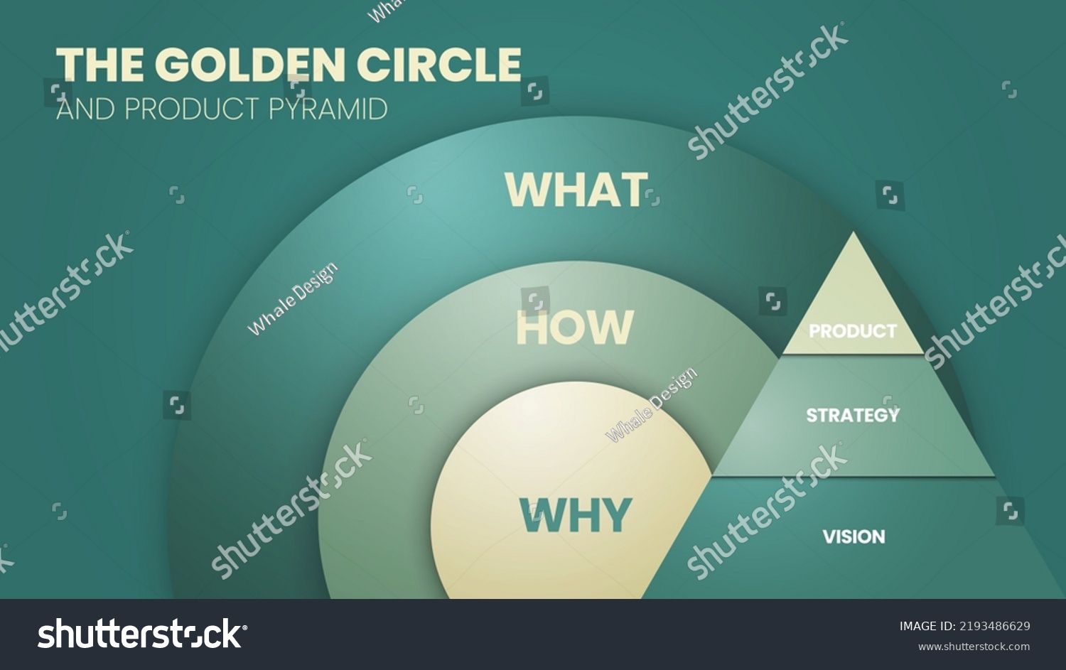 Golden Circle Brain Illustration Simon Sinek Stock Vector (Royalty Free ...