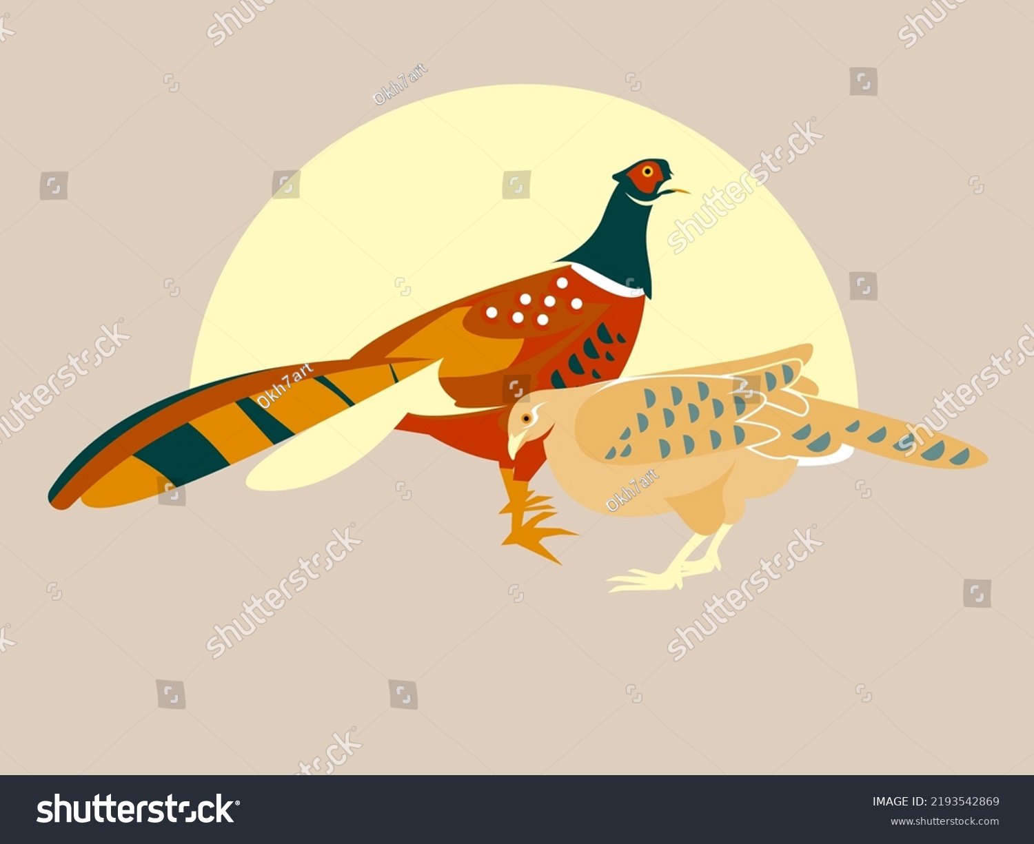 Pair Pheasants Male Female Illustration Two Stock Vector Royalty Free