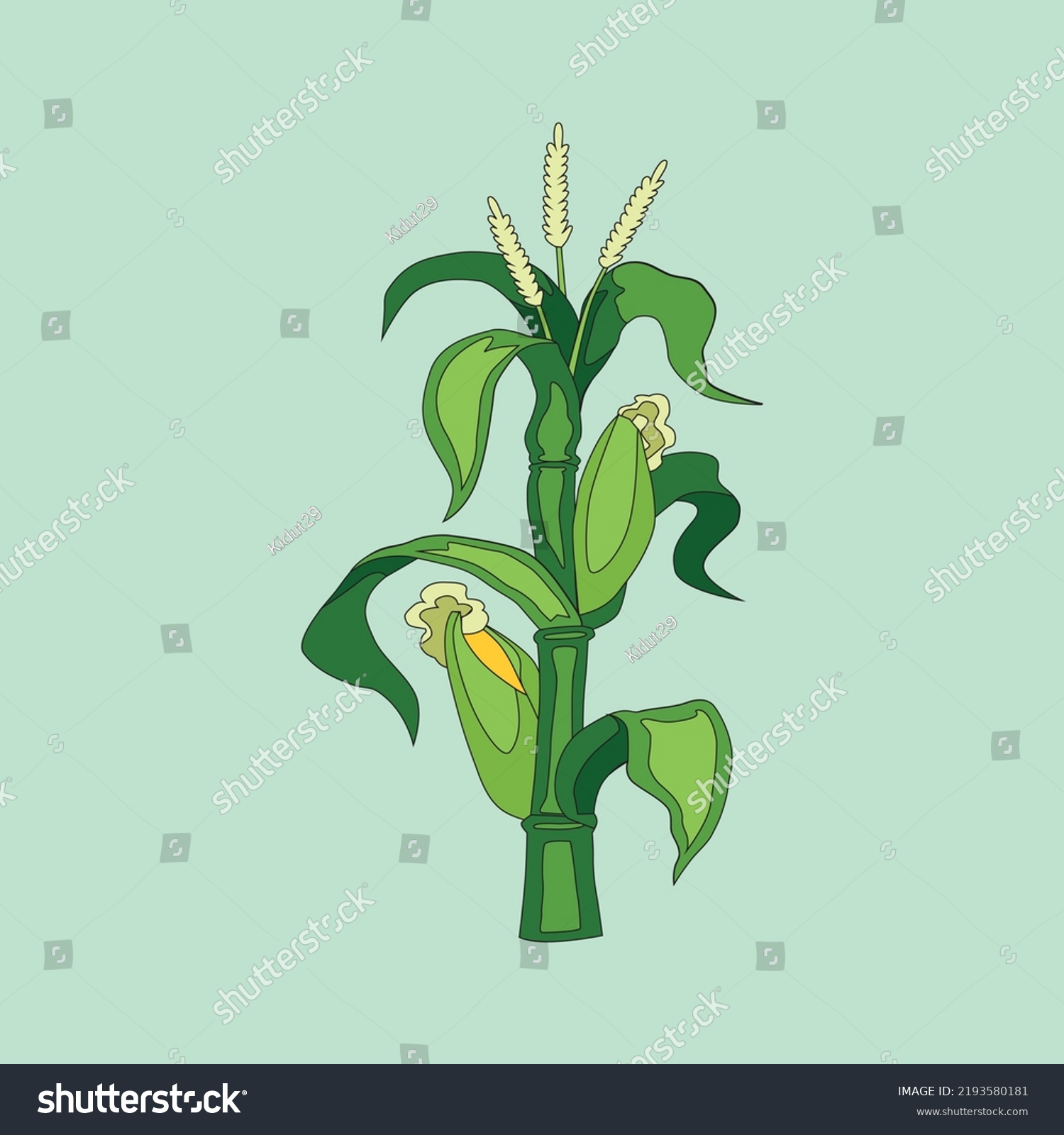 Vector Illustration Batang Jagung Clipart Stock Vector Royalty Free