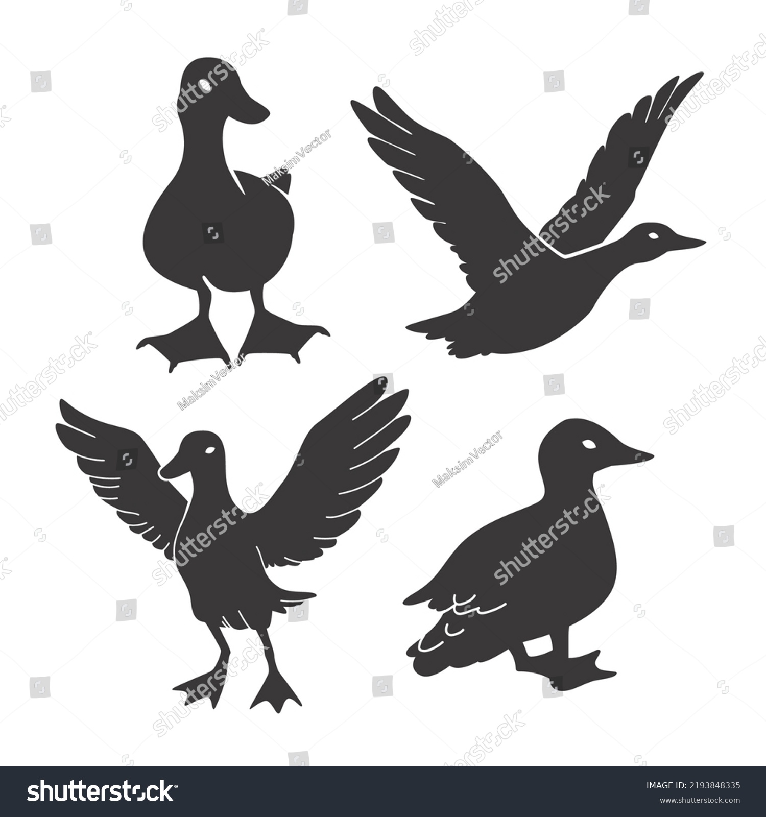 Hand Drawn Duck Animal Silhouette Illustration Stock Vector (royalty 