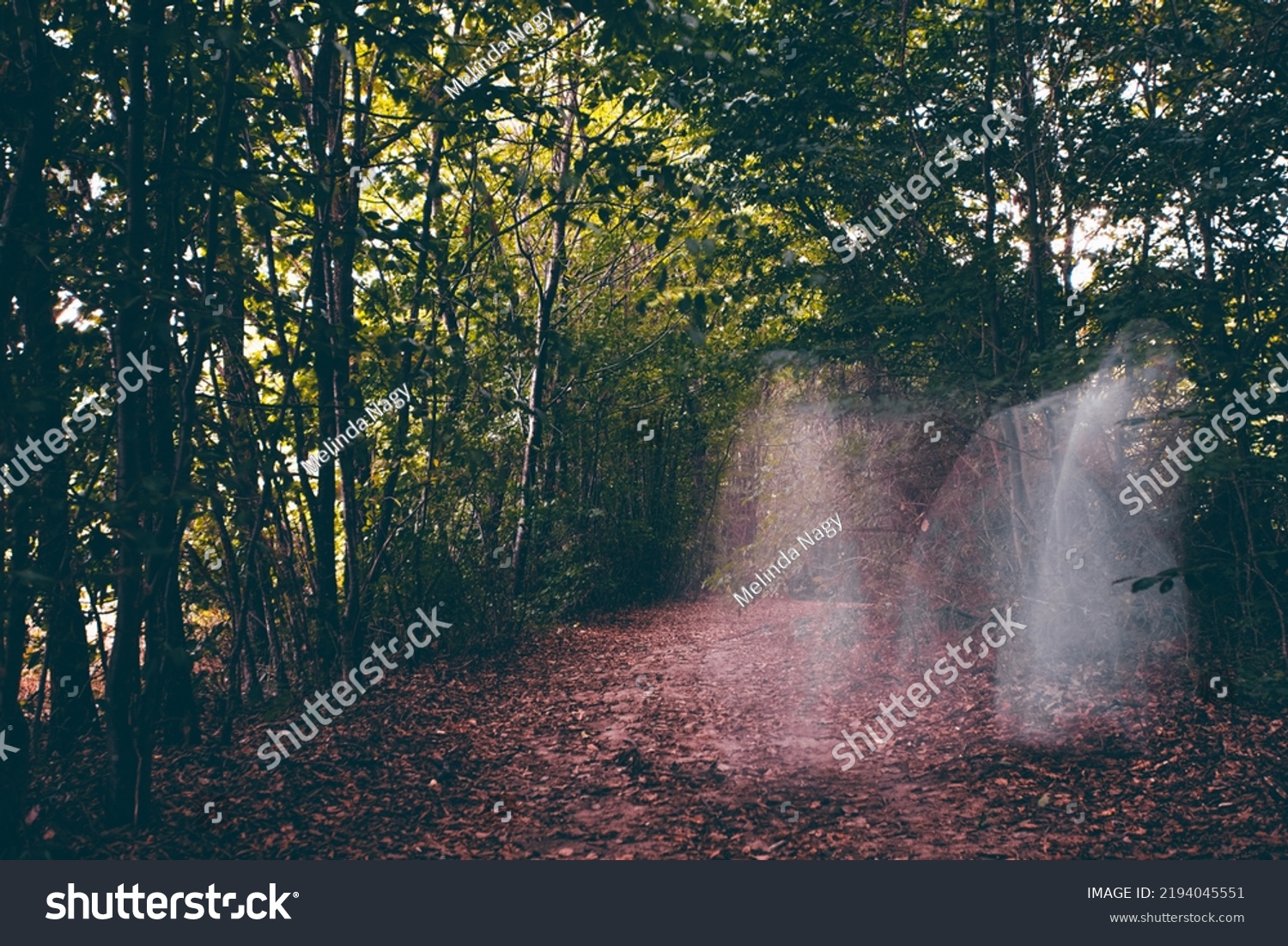 Horror Background Ghostly Figure Enchanted Forest Stock Photo