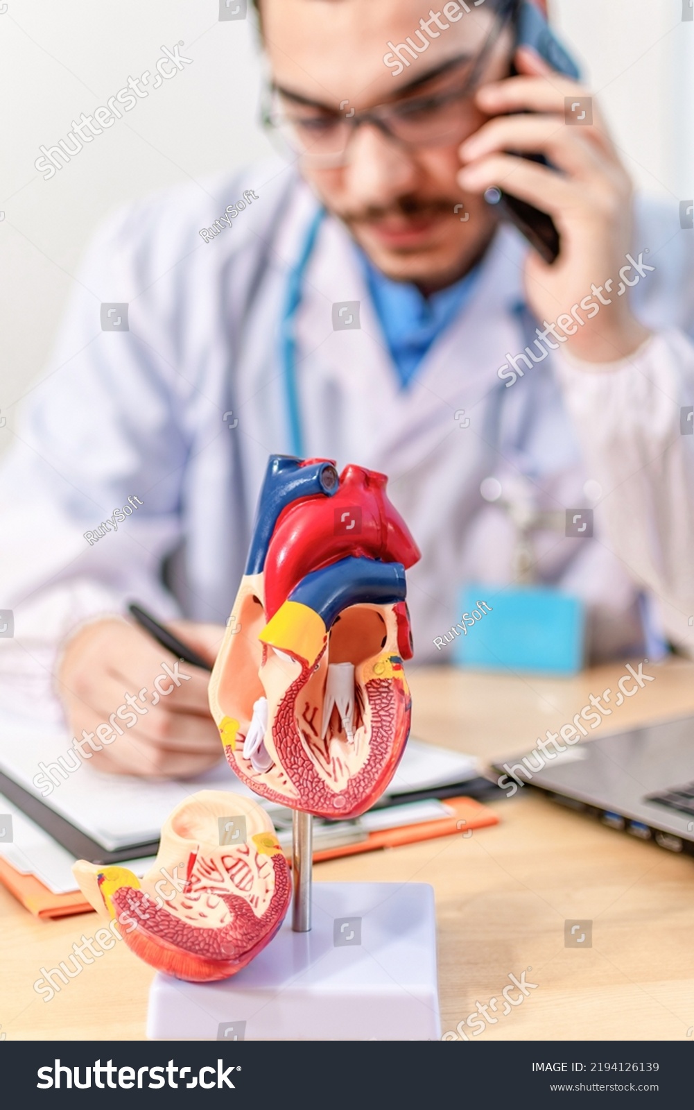 Anatomical Structure Physiology Heart Cardiovascular System Stock Photo ...