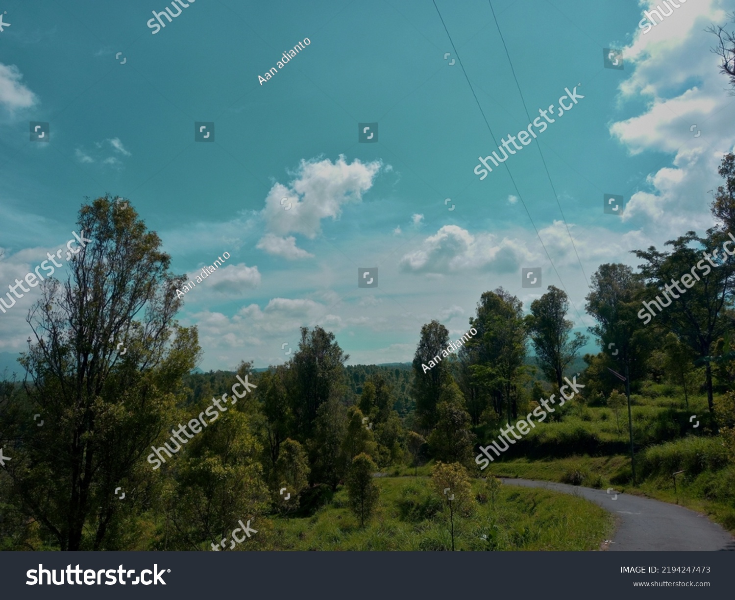 Green Plantation Scenery Background Unique Colored Stock Photo