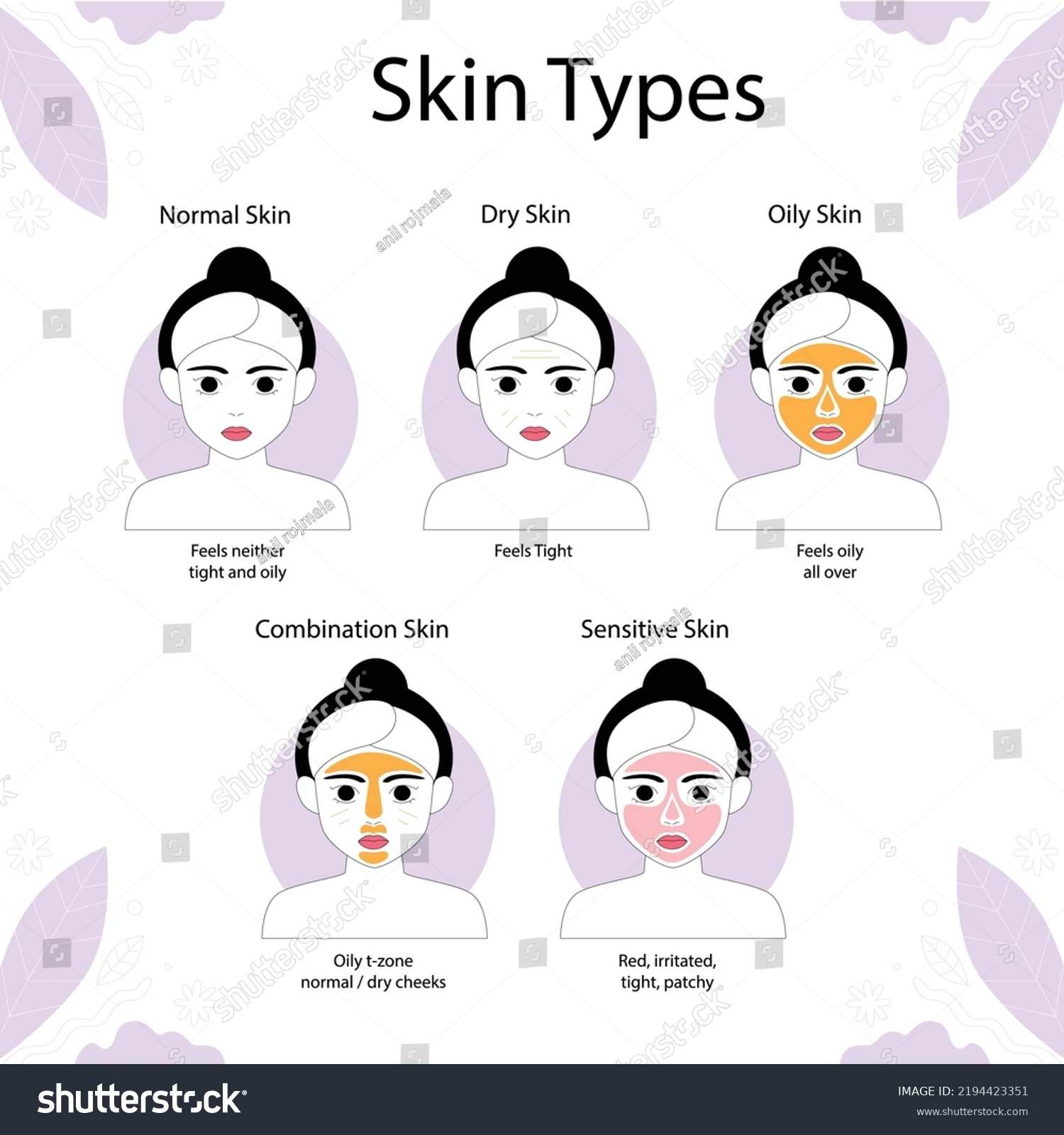 Skin Types Normal Oily Combination Dry Stock Vector (Royalty Free ...