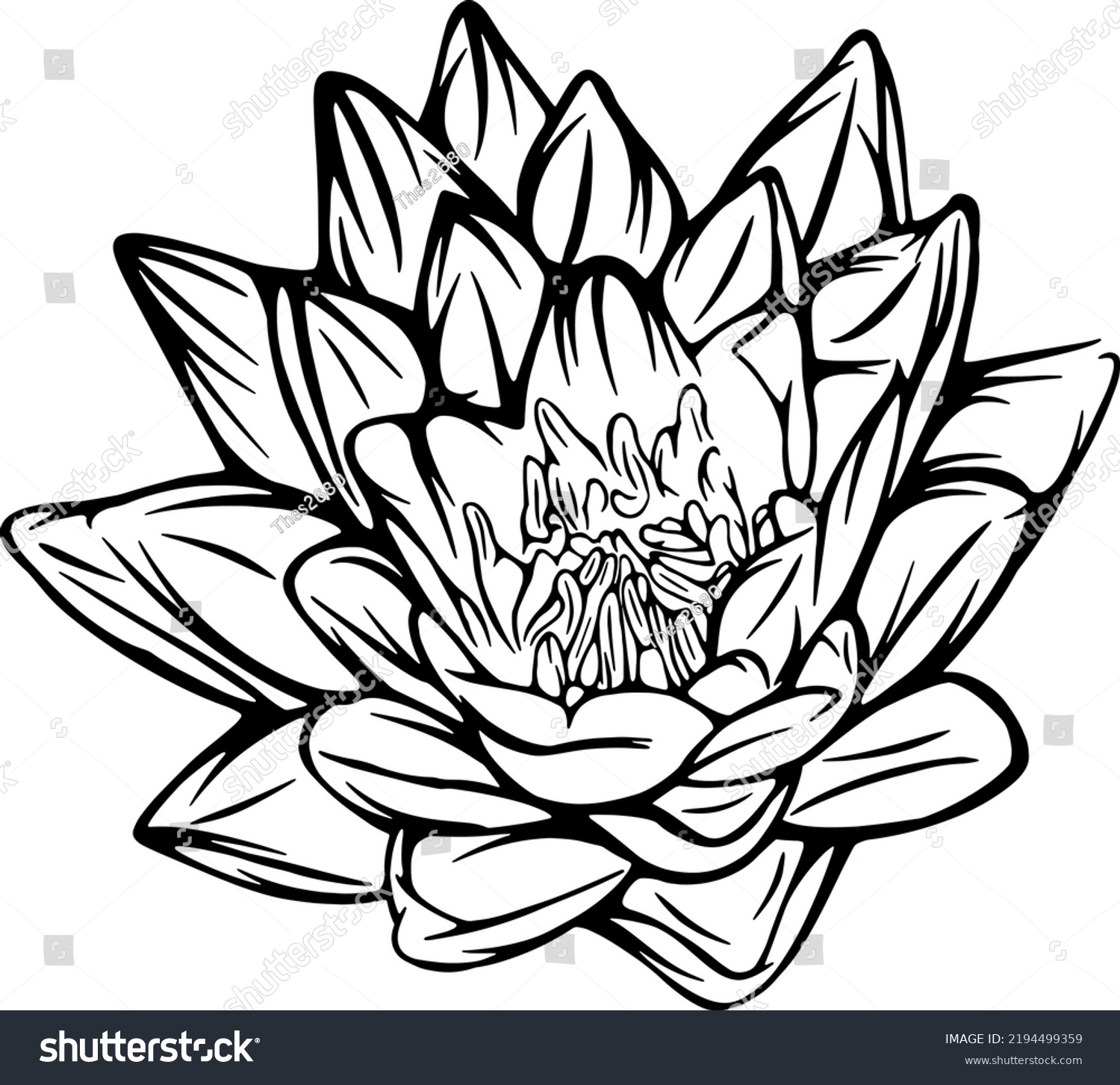 Lotus Peony Outline Vector Illustrations Design Stock Vector (Royalty ...