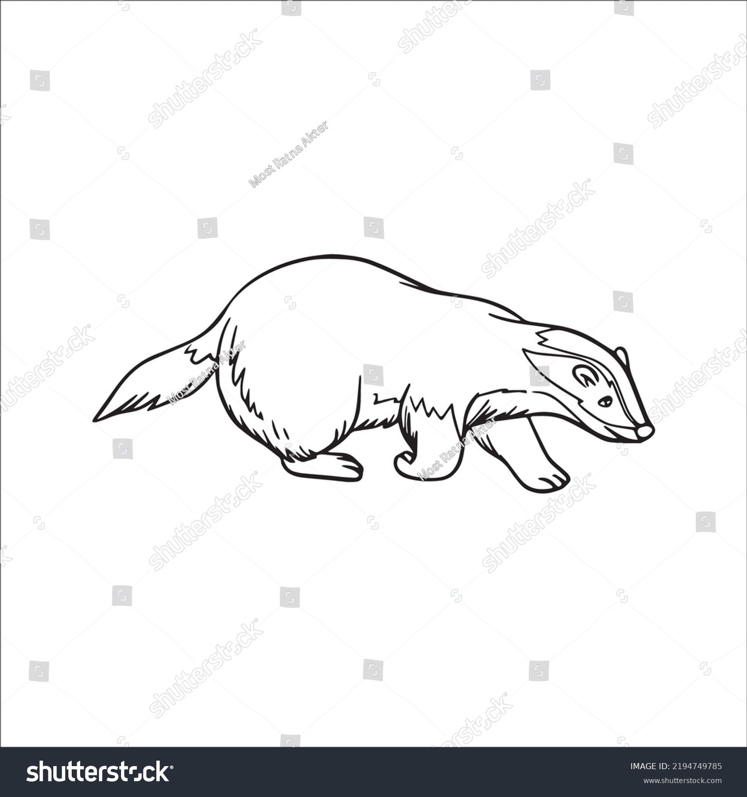 Beautiful Badger Line Art Imagesoutline Drawingvector Stock Vector ...